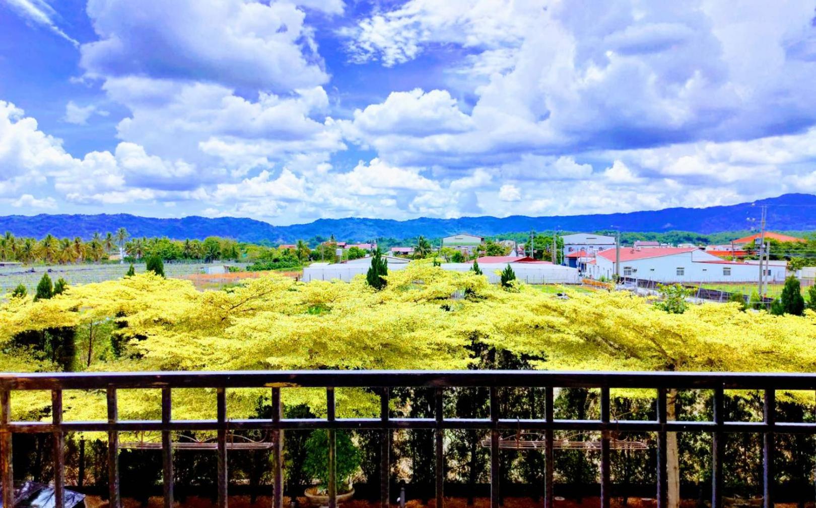 King Room with Garden View photo 2