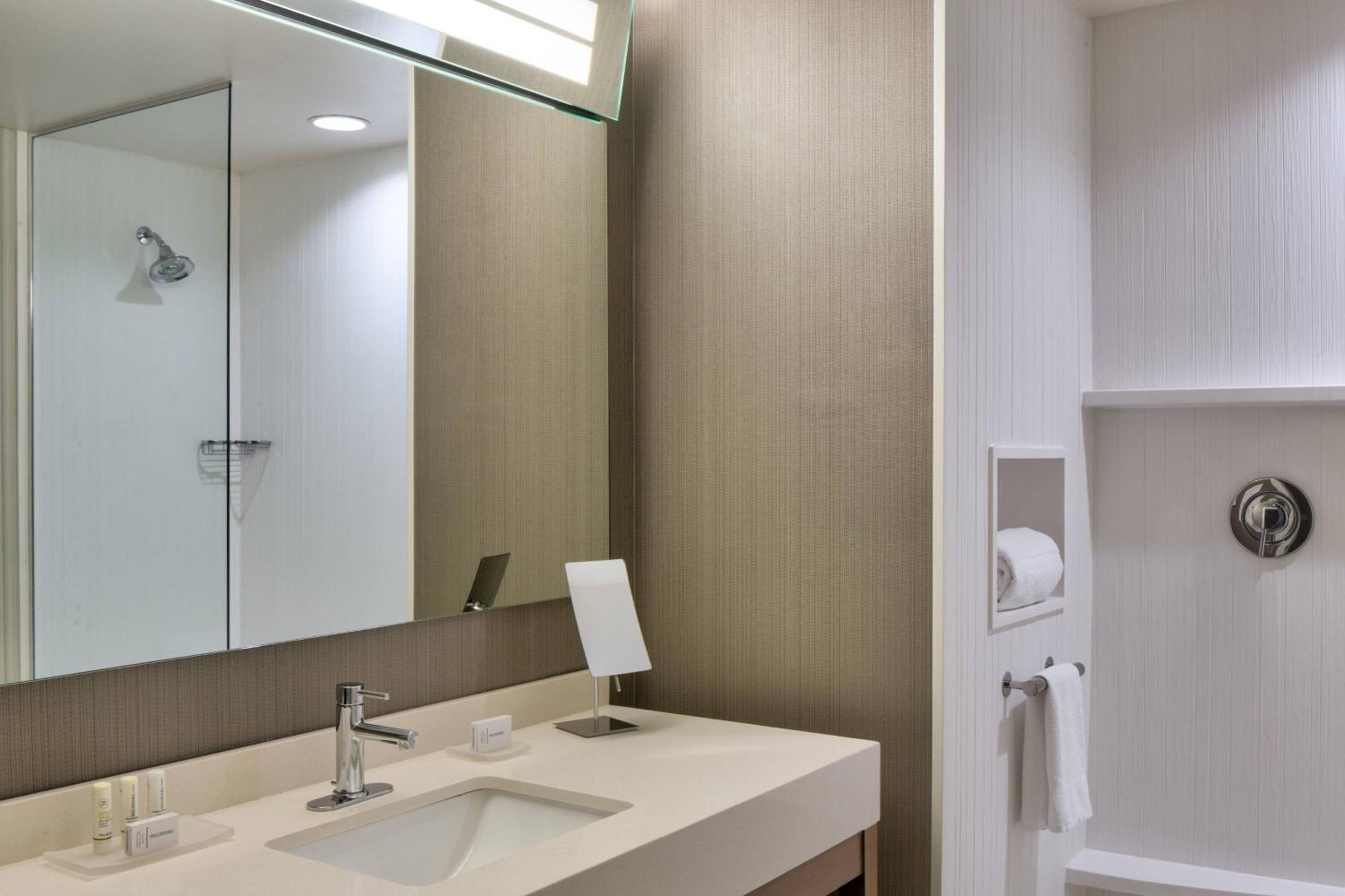 King Room with Sofa Bed and Roll-in Shower - Mobility and Hearing Accessible