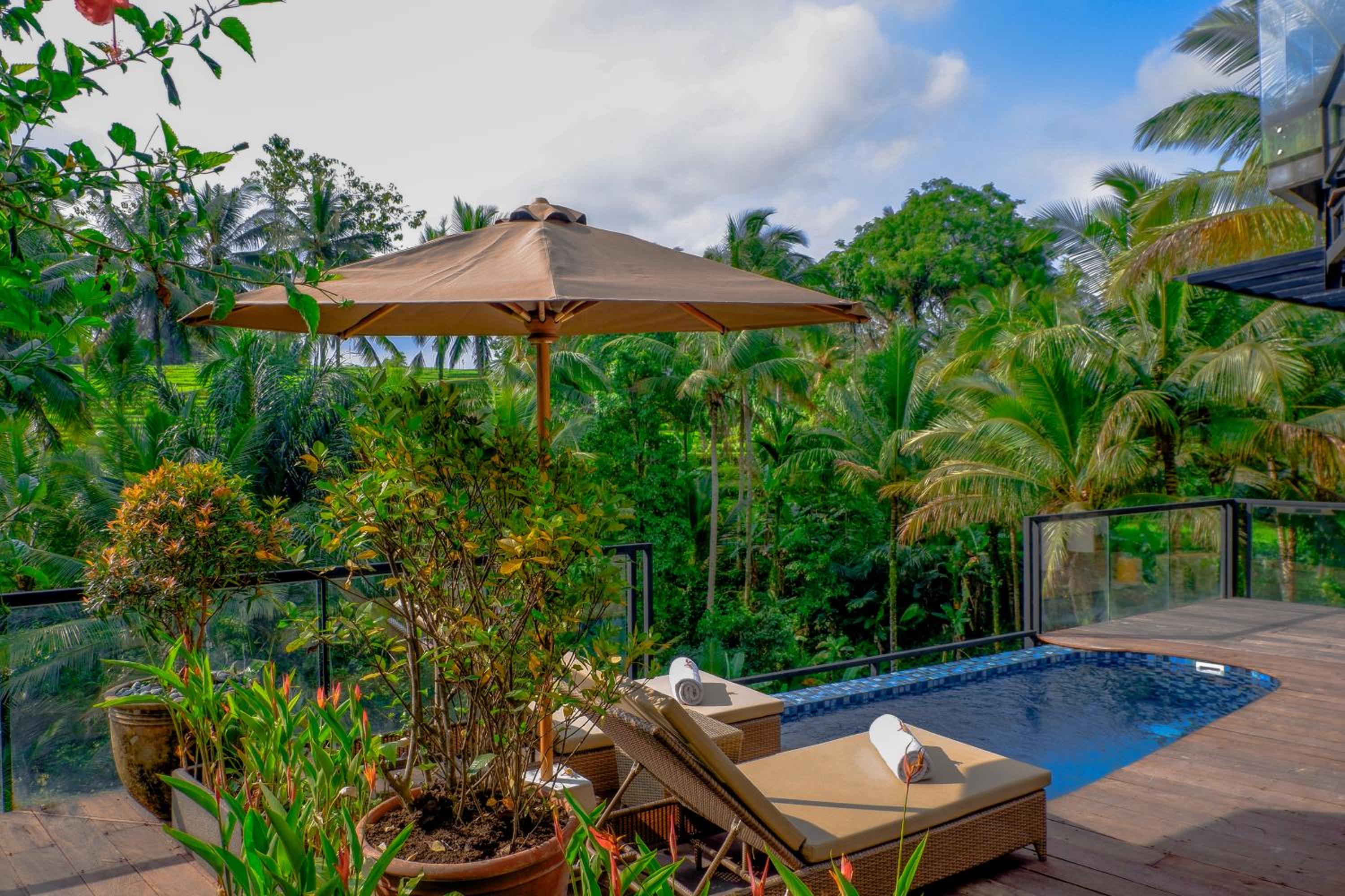 Two Bedroom Rice Terrace Pool Villa with Jacuzzi and Living Room photo 2