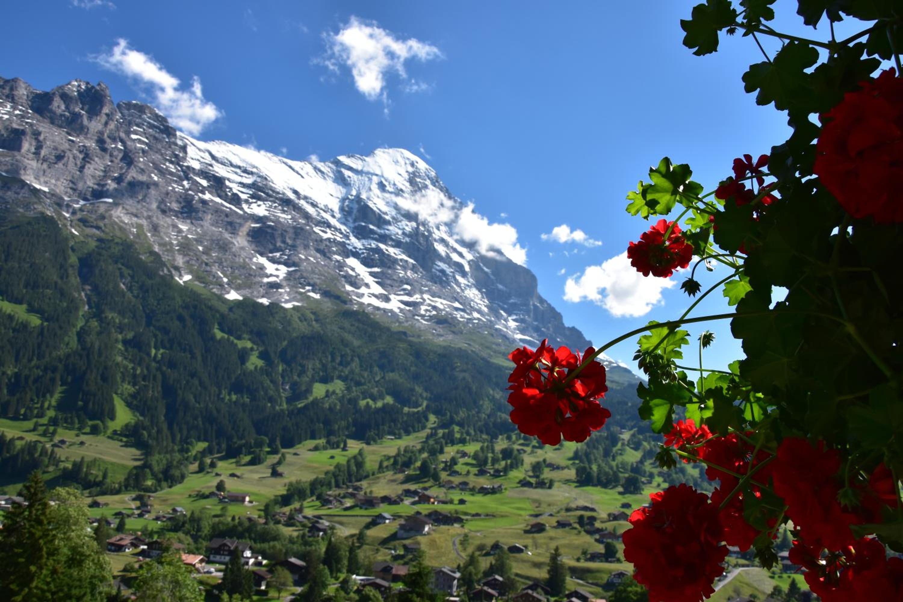 Suite With Eiger North Face View photo 2
