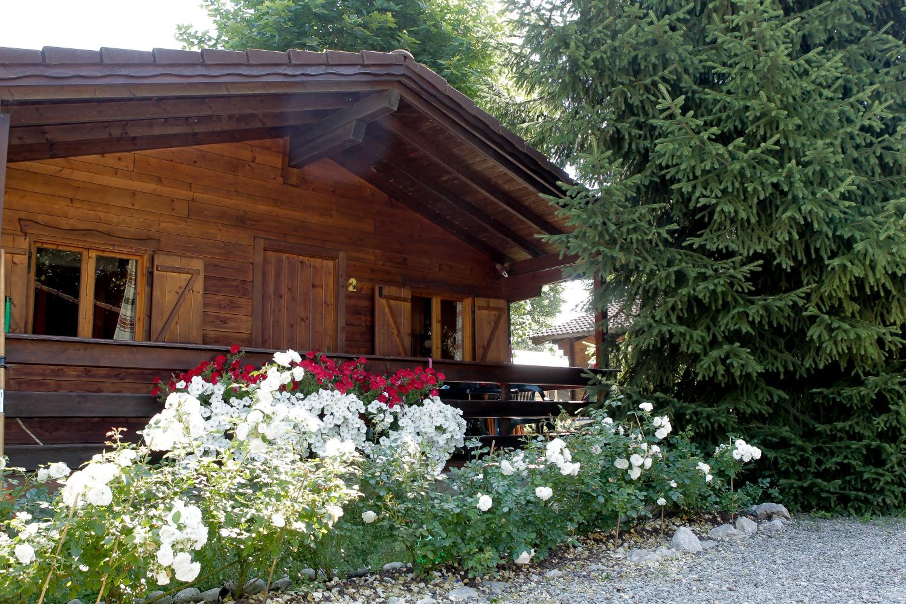 Two-Bedroom Bungalow with Patio photo 3