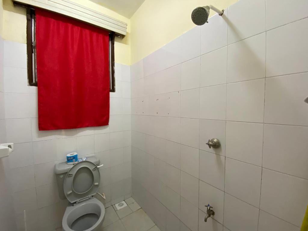 One-Bedroom Apartment photo 3