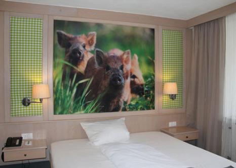 Comfort Single Room