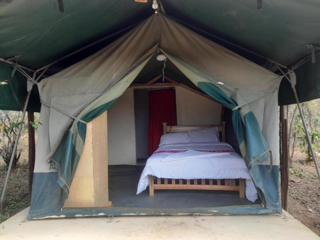Tent photo 1