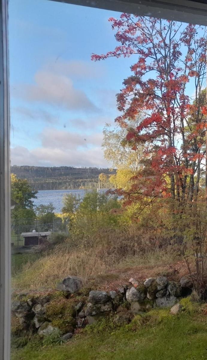 Studio with Lake View photo 1
