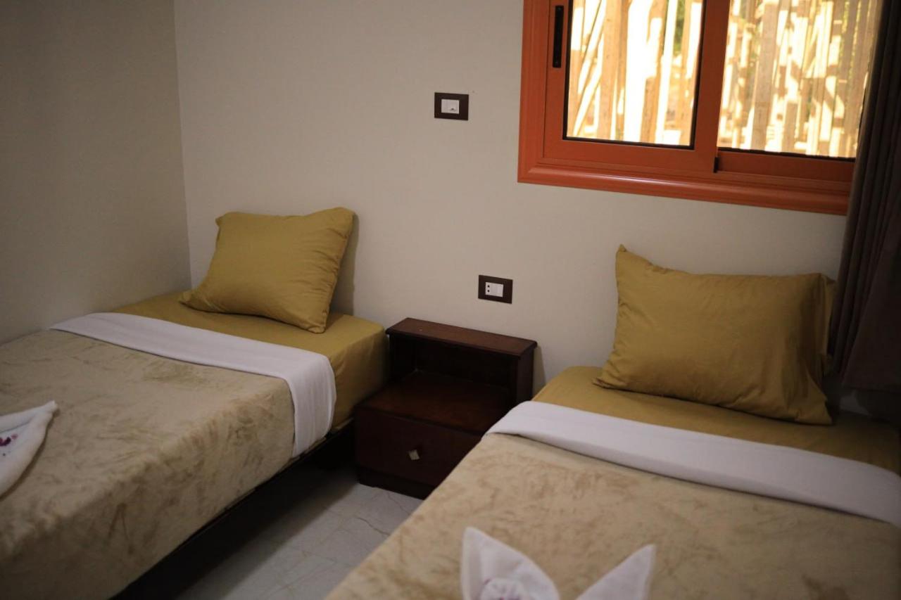 Twin Room photo 3