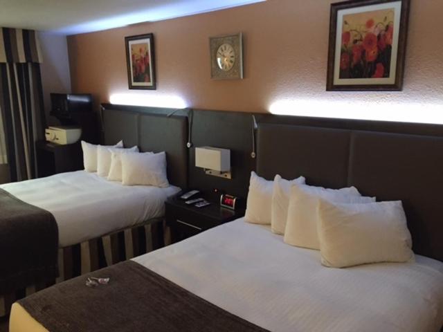 Standard Queen Room with Two Queen Beds - Photo 6