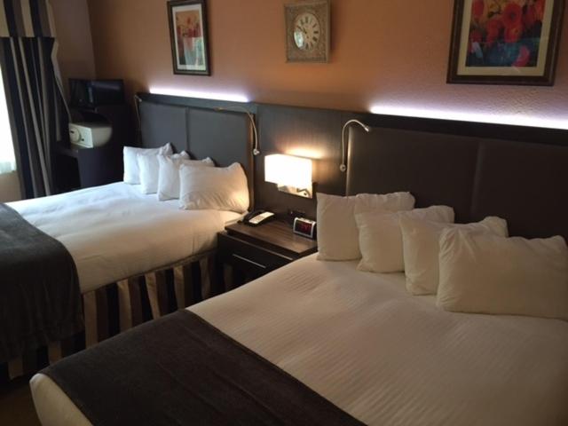 Standard Queen Room with Two Queen Beds - Photo 2