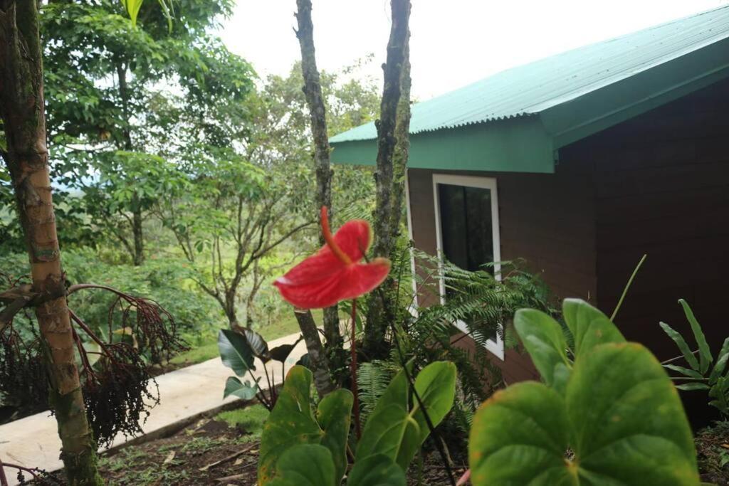 One-Bedroom House photo 2