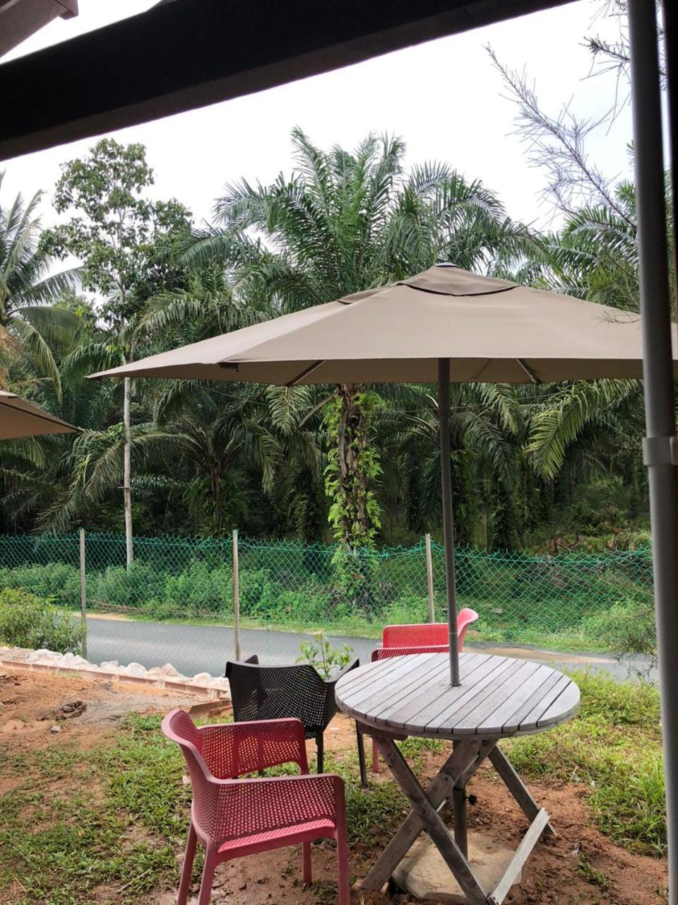 Triple Room with Garden View photo 1