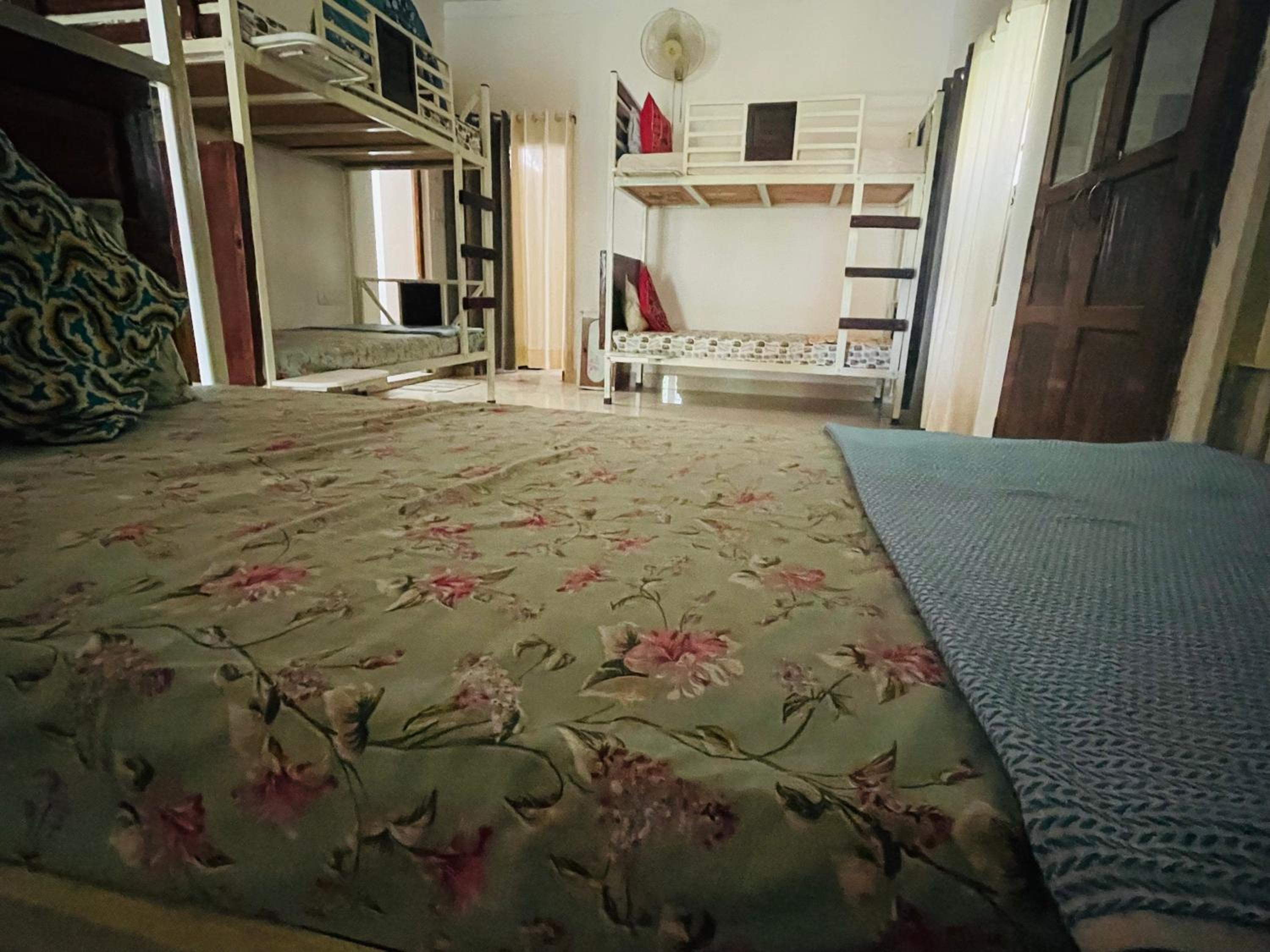 Single Bed in 6-Bed Dormitory Room