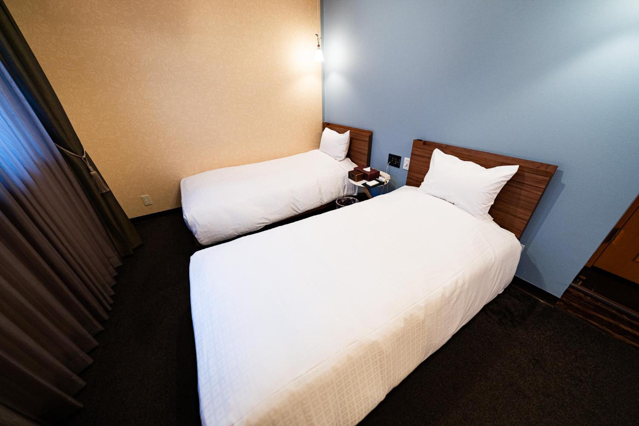 Deluxe Twin Room - Photo 2