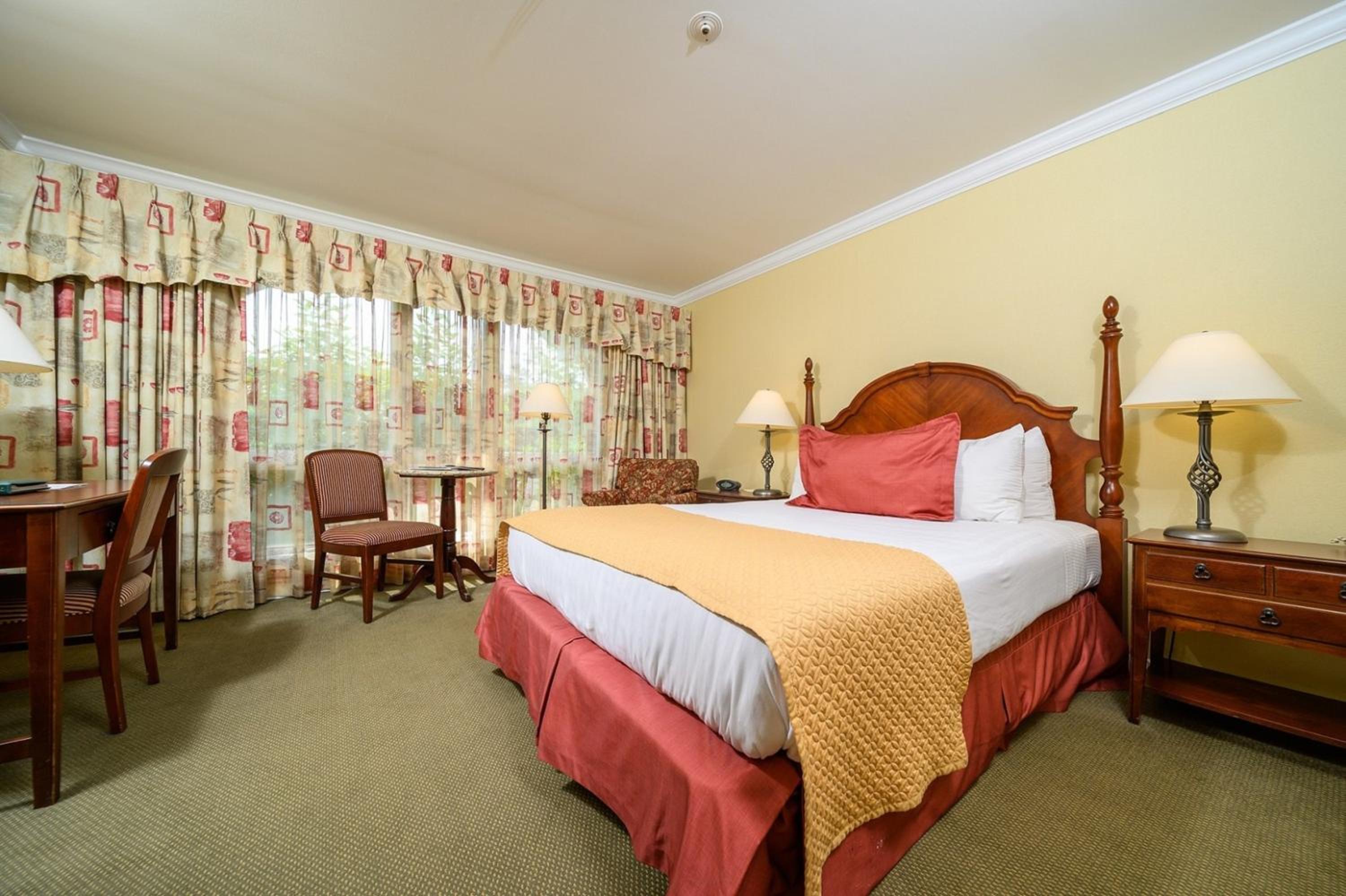 Standard king room