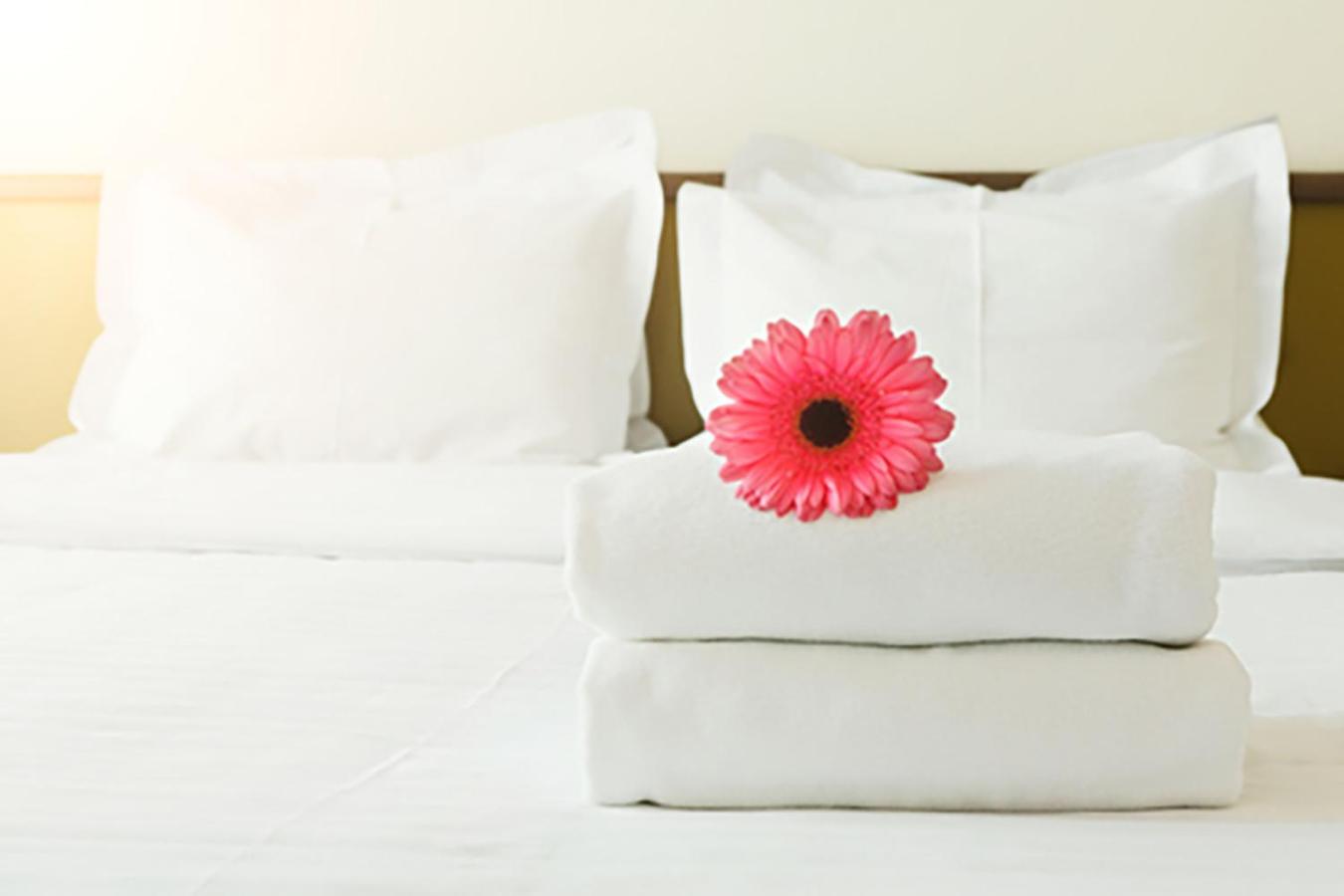 Twin Room with Private Bathroom - Photo 5