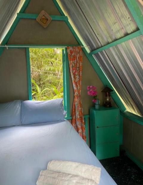 Double Room With Garden View photo 1