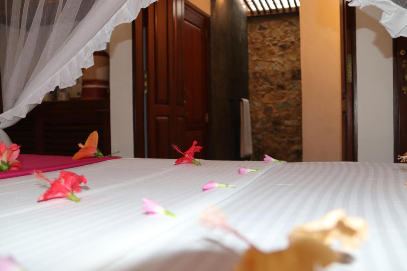 Double Room With Garden View photo 1