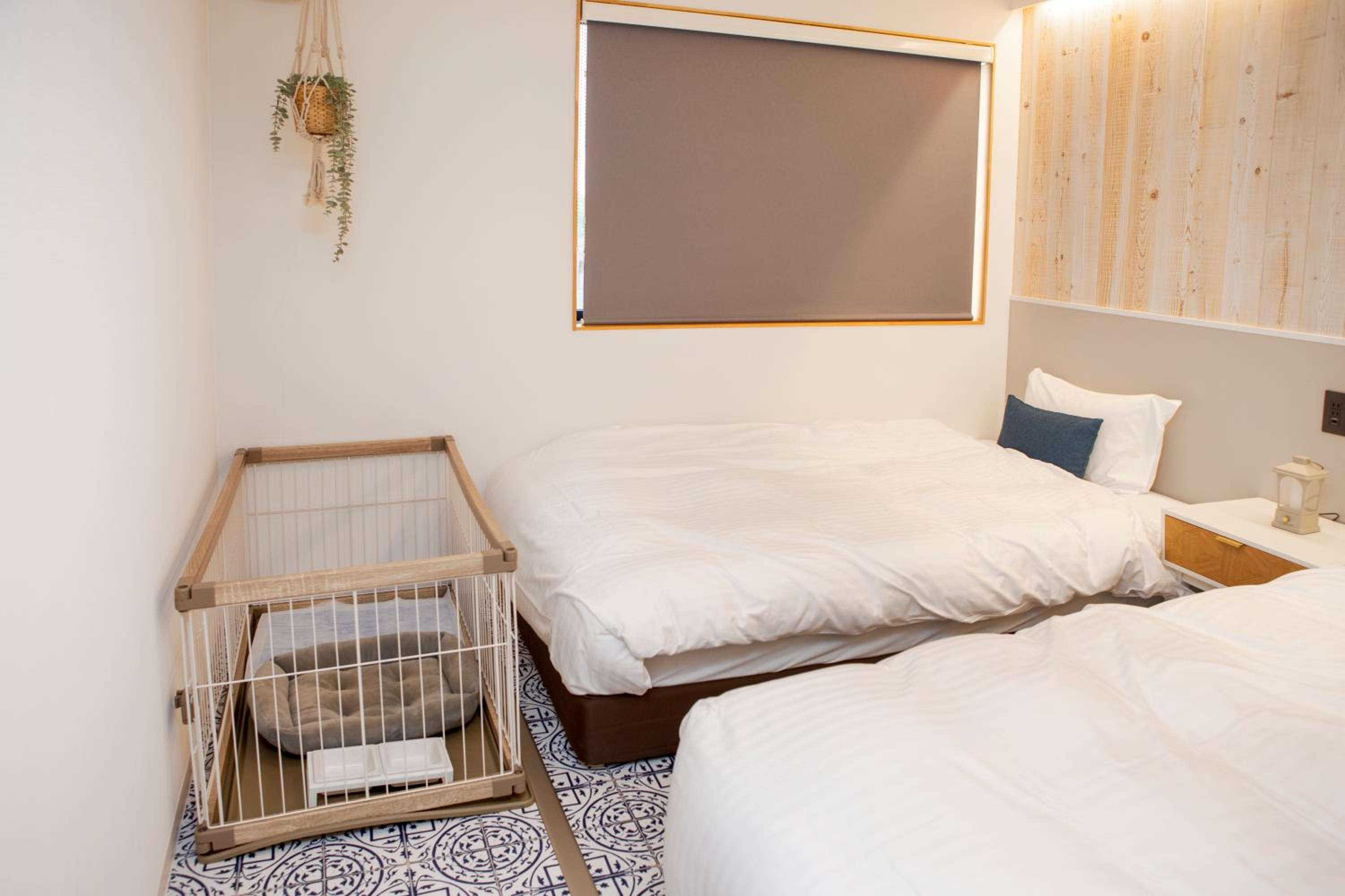 Suite with Ocean View (Pet Allowed)