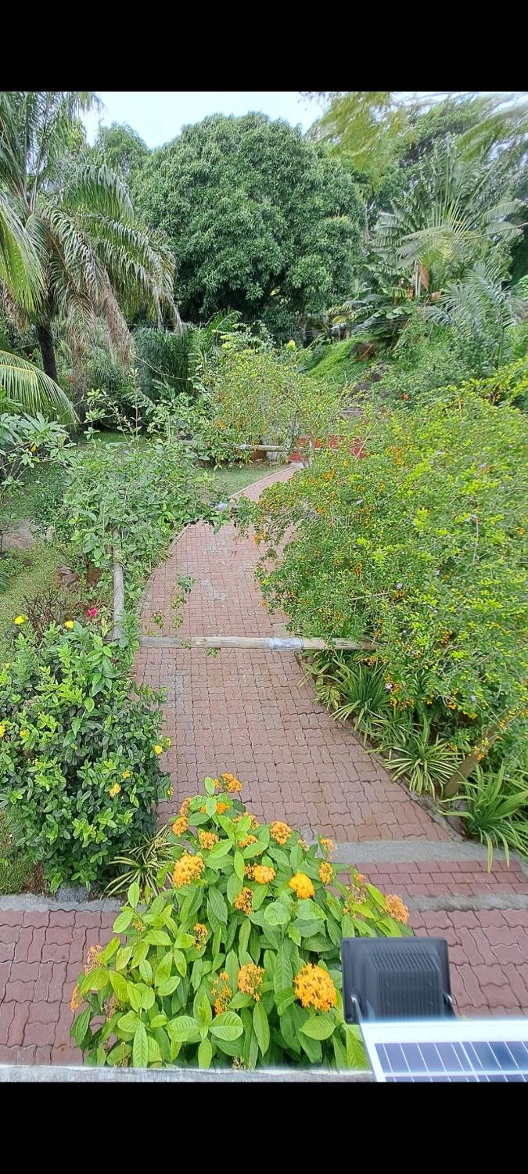 Villa photo 2
