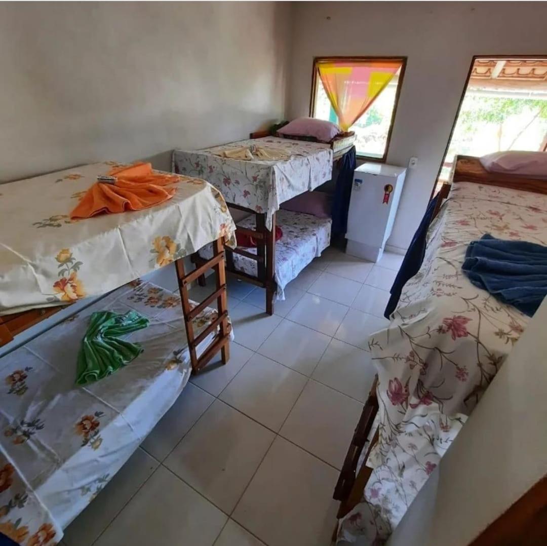 Bunk Bed in Mixed Dormitory Room photo 1