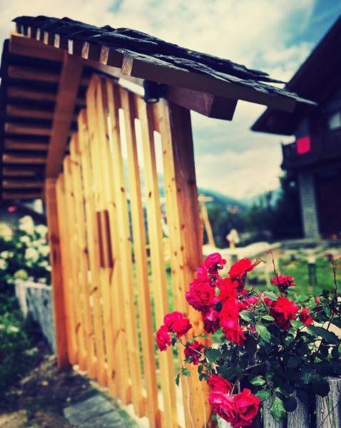 Villa - Photo 1