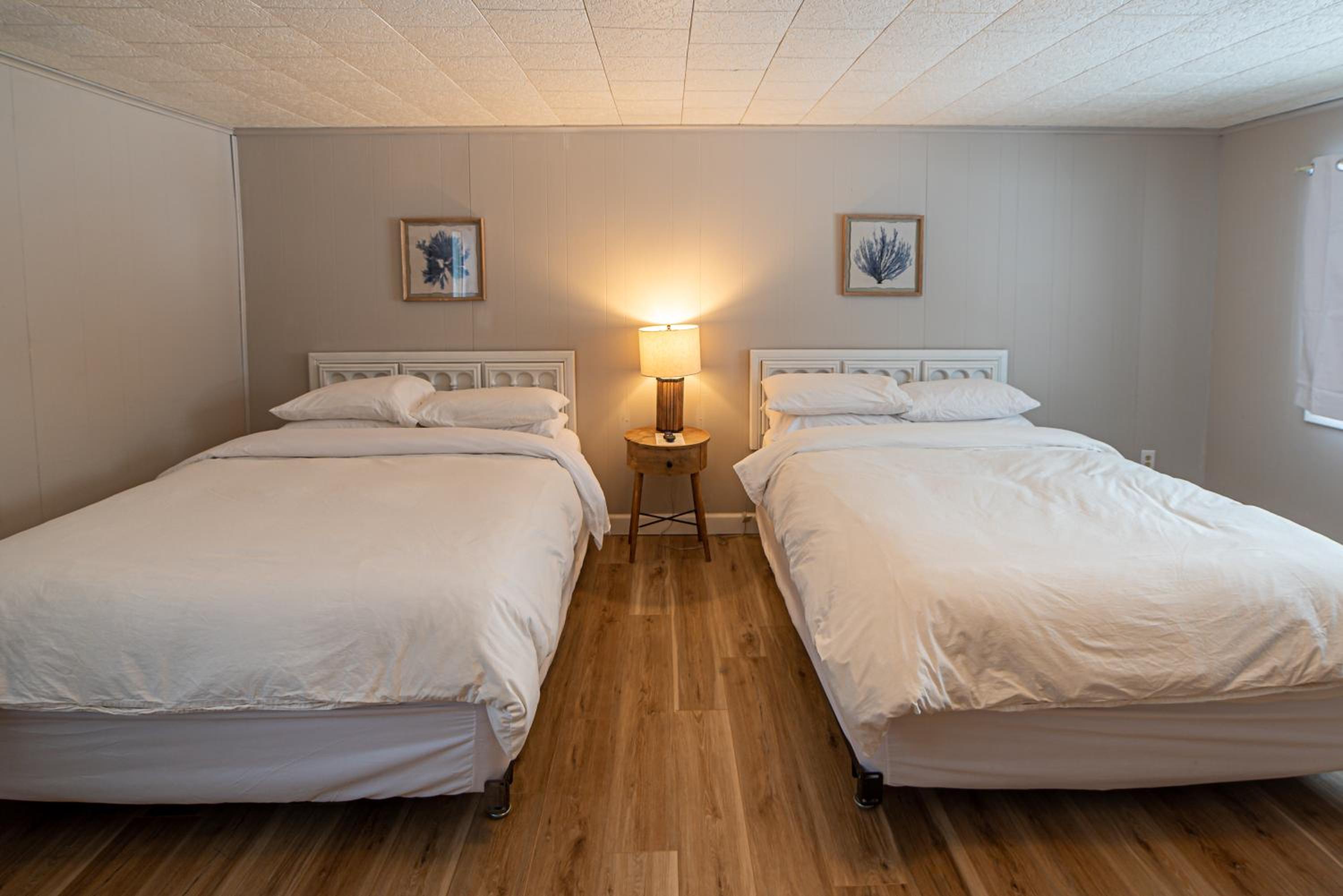 Premium Quadruple Room photo 1