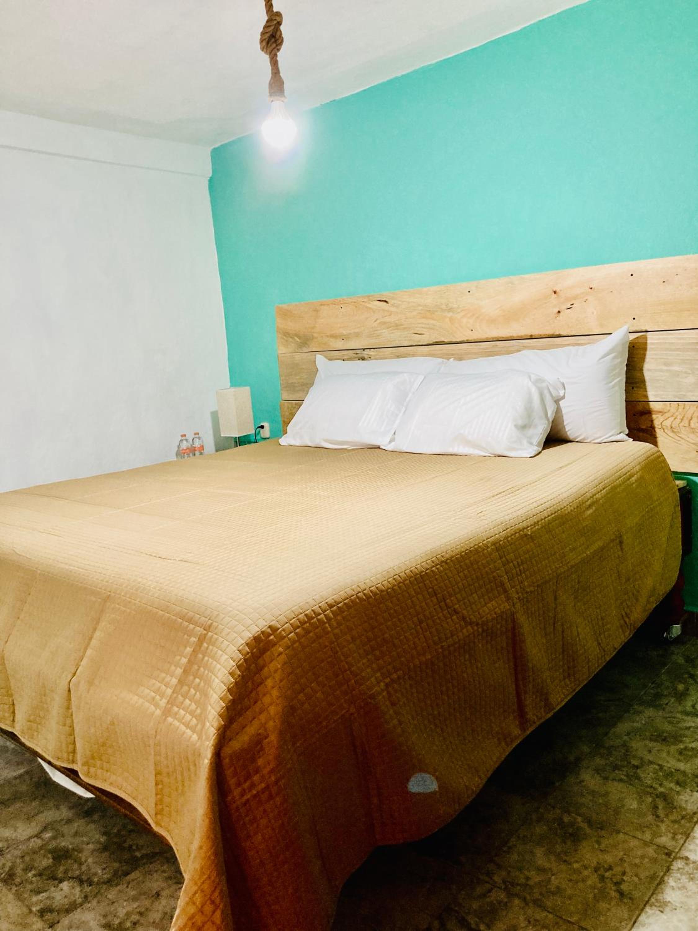 Double or Twin Room photo 2