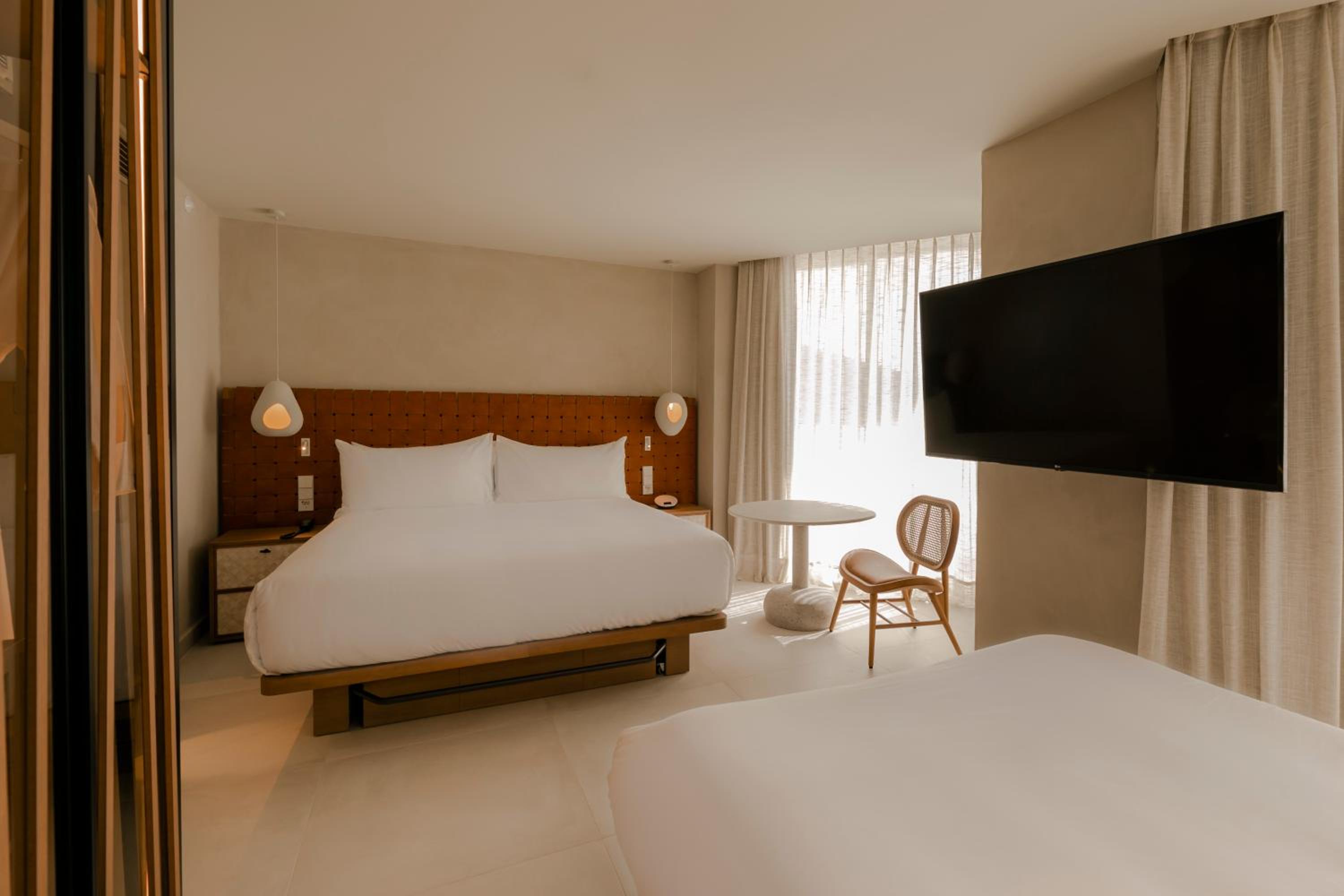 Studio Suite - Photo 2