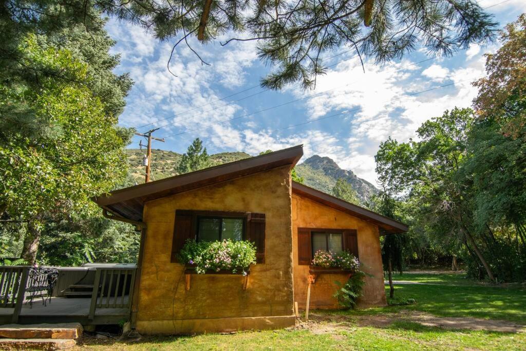 One-Bedroom House photo 3
