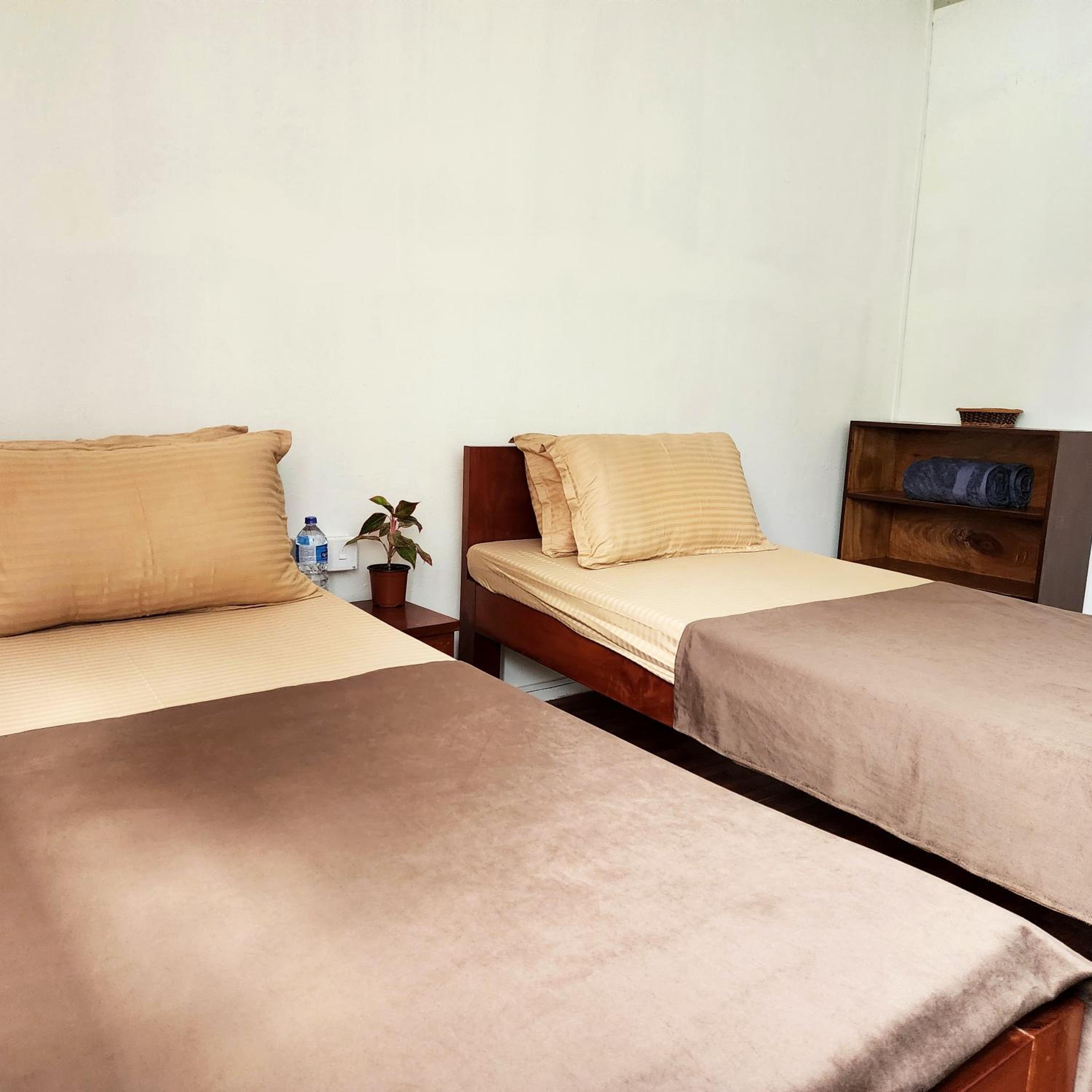 Twin Room photo 2