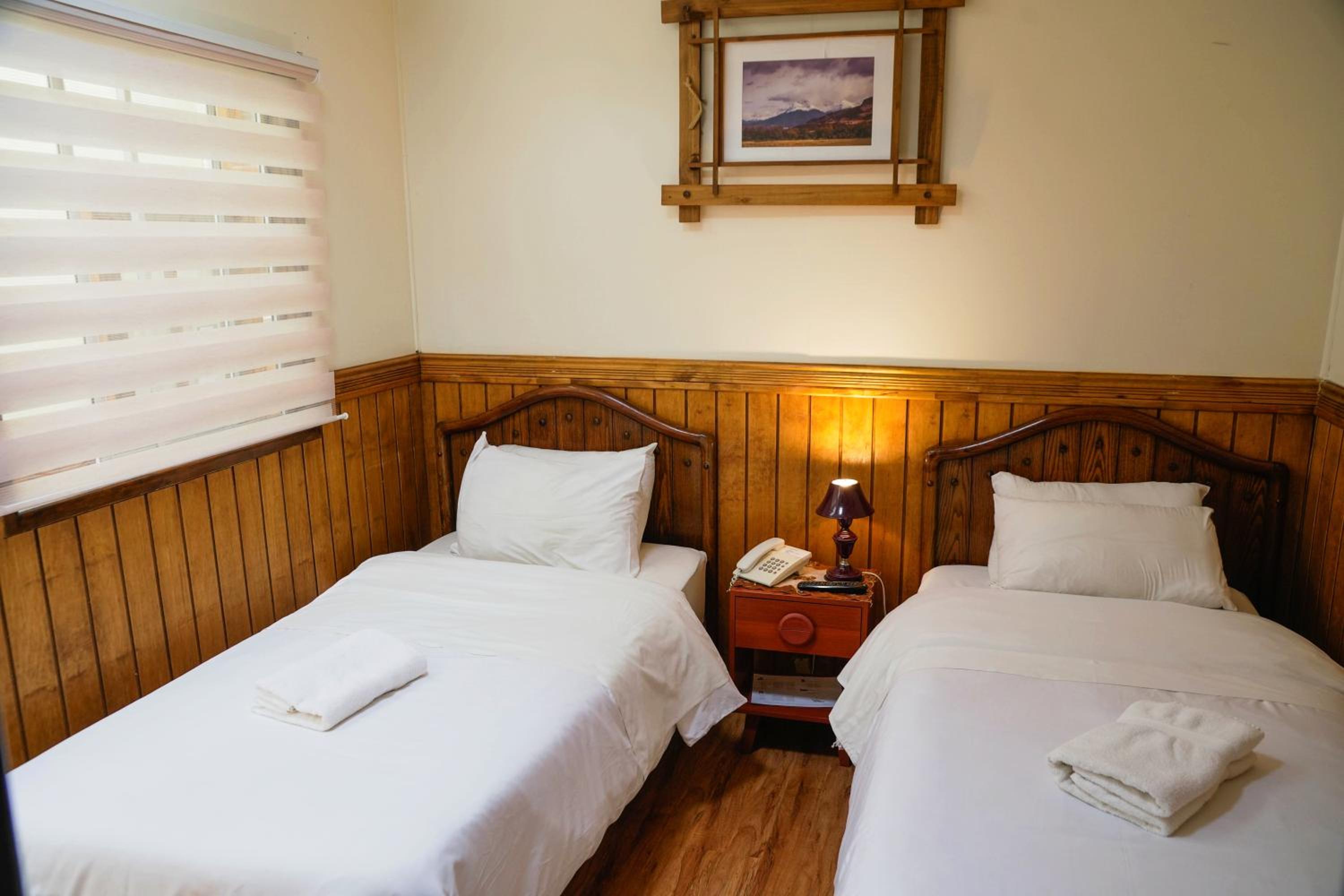 Twin Room photo 3