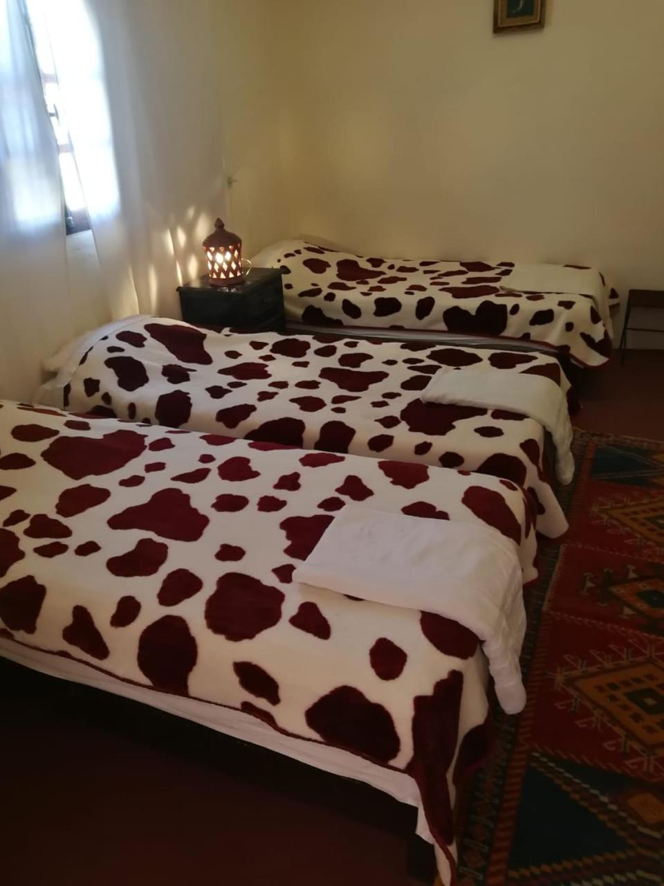 Classic Quadruple Room photo 1