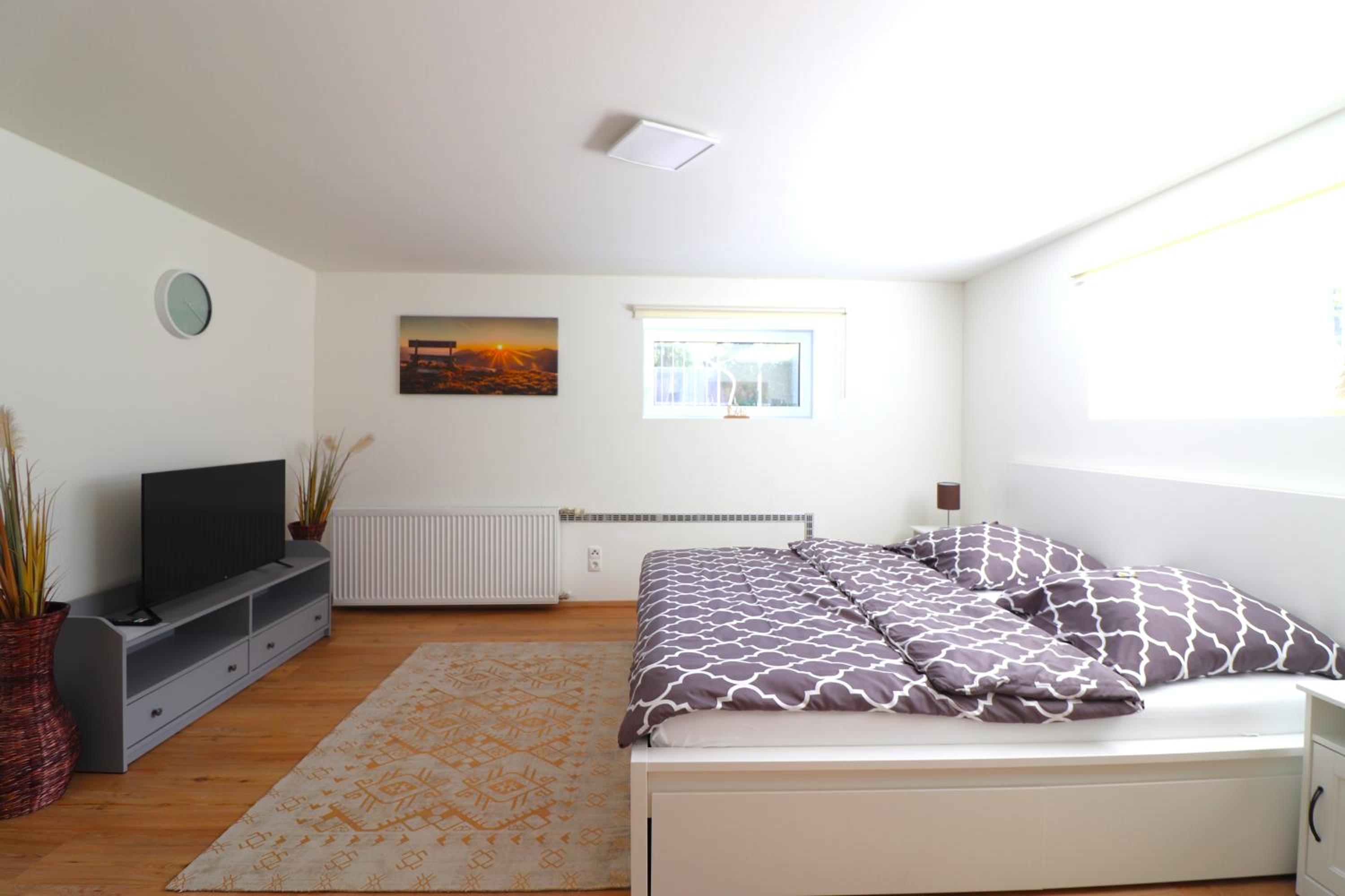 One-Bedroom Apartment photo 3