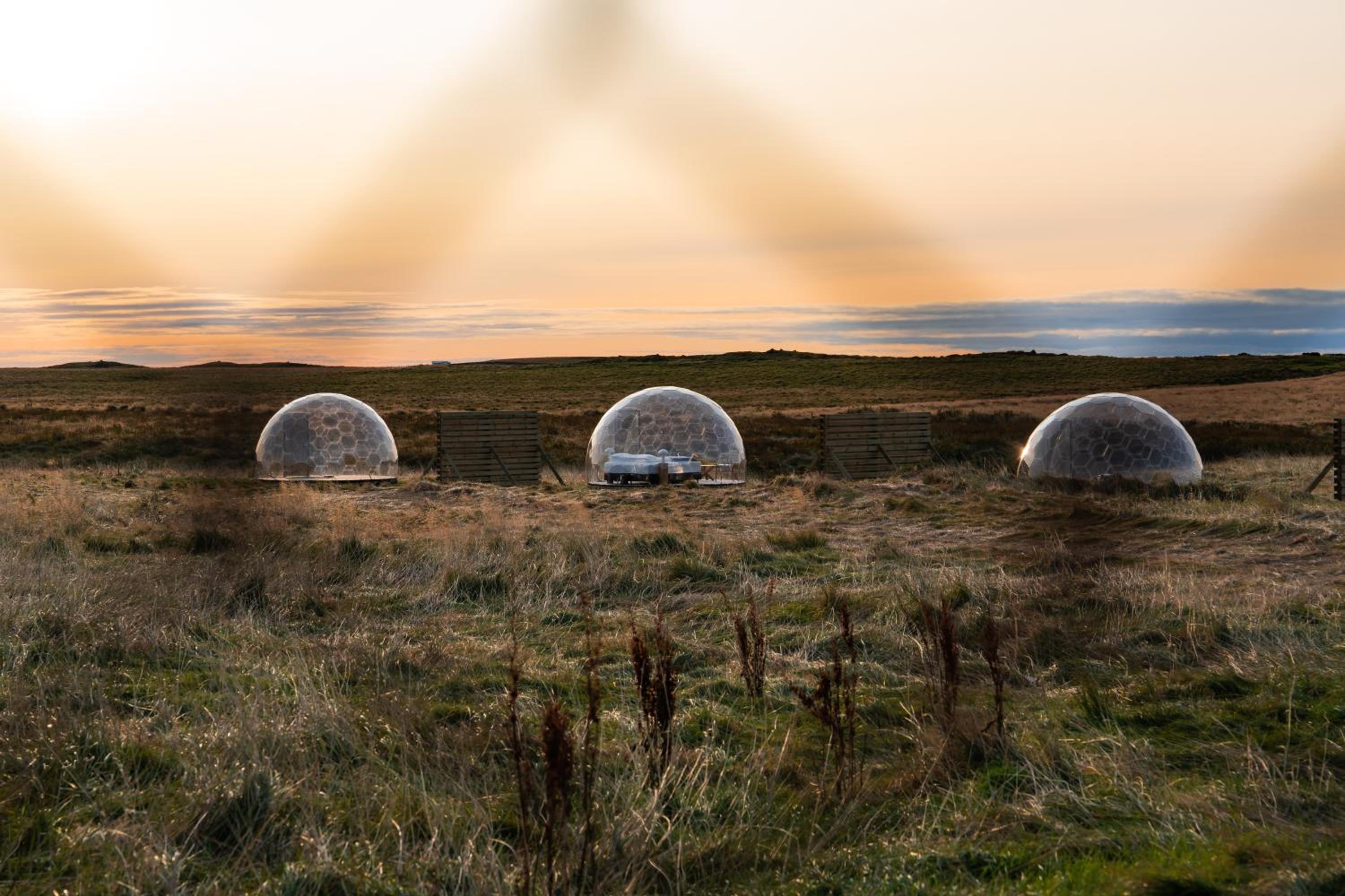  Igloo Dome - Standard - Photo 5