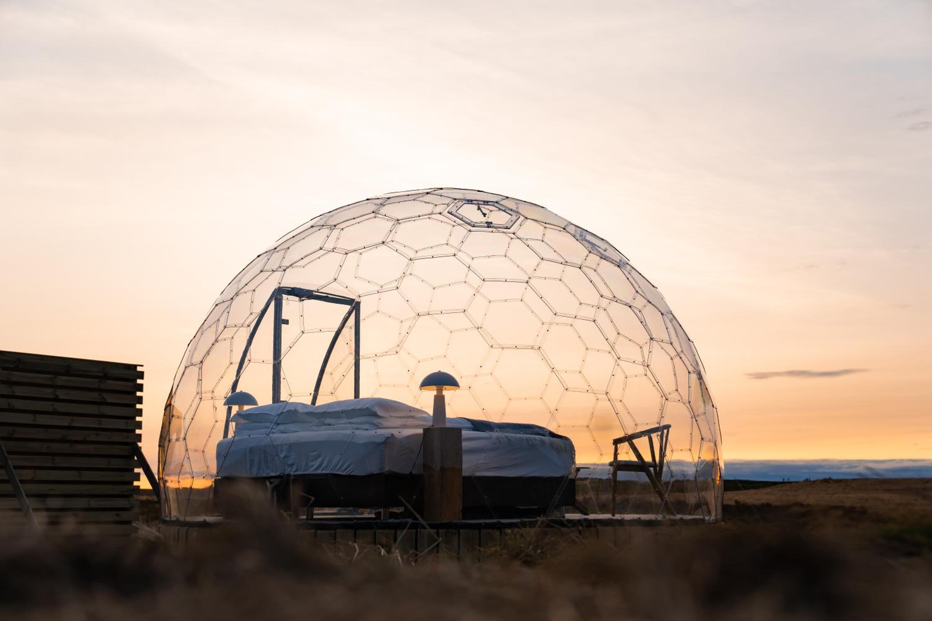  Igloo Dome - Standard - Photo 21