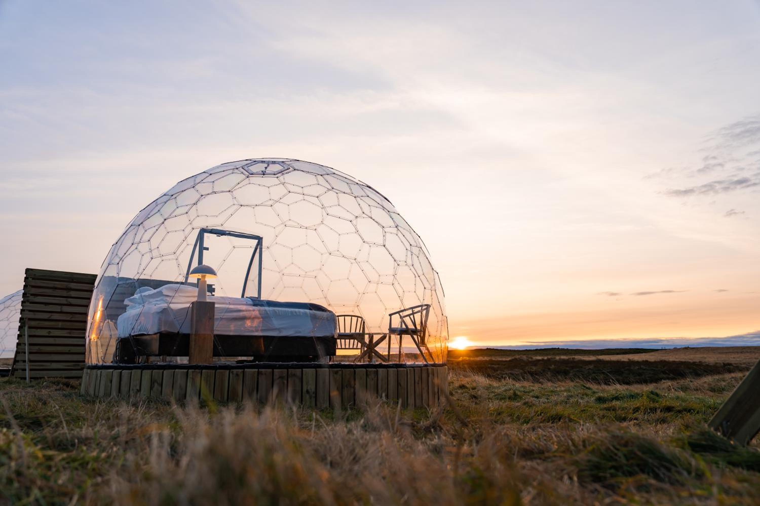  Igloo Dome - Standard - Photo 23