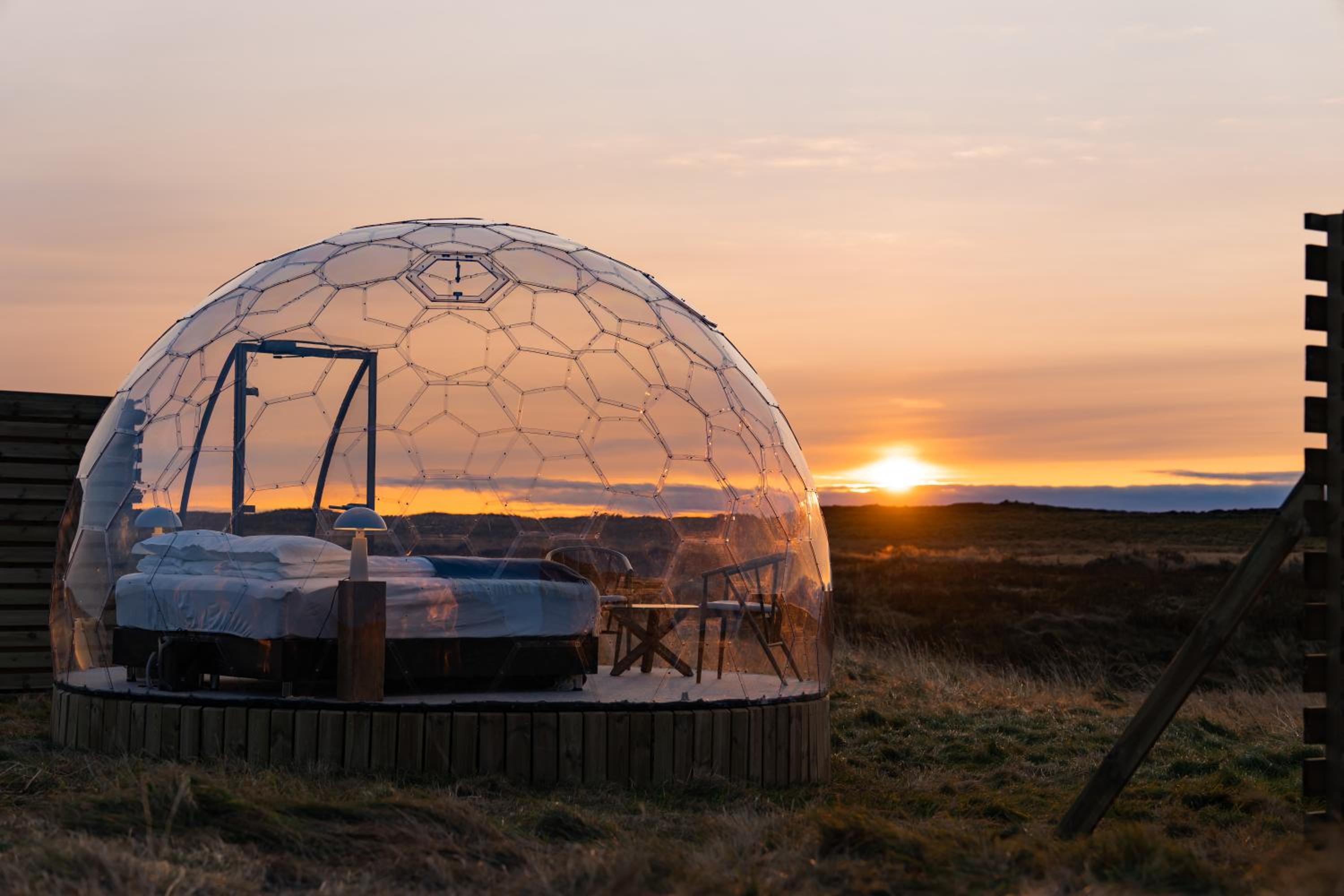  Igloo Dome - Standard - Photo 22