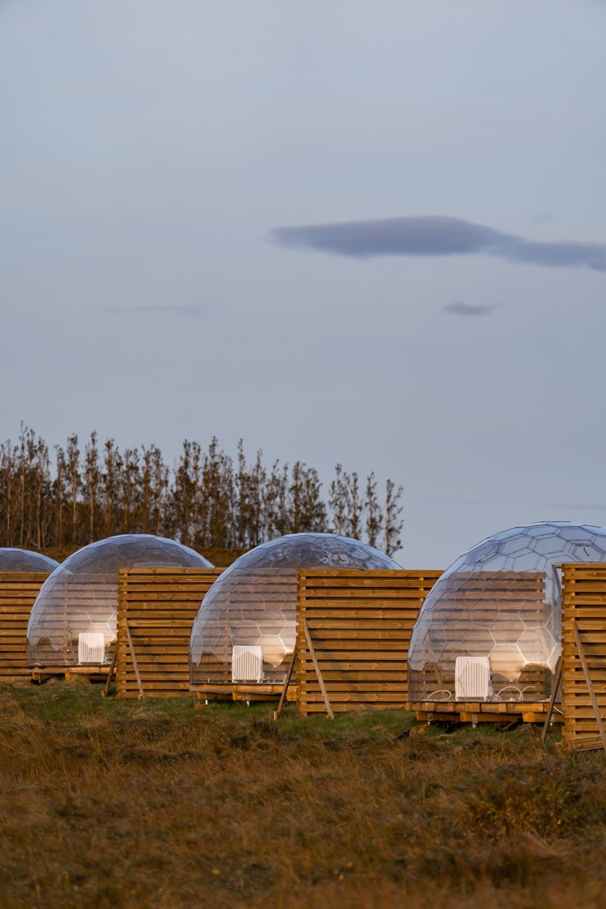  Igloo Dome - Standard - Photo 20