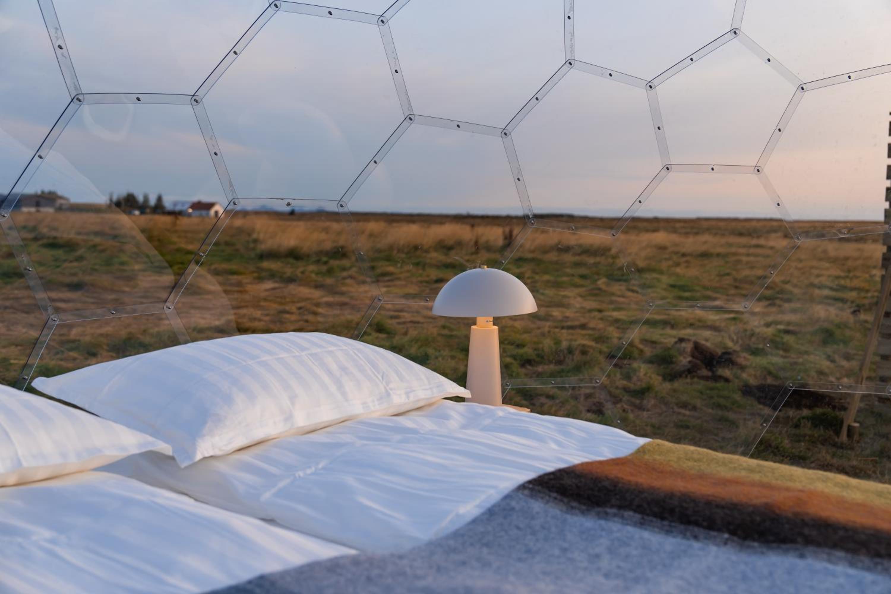  Igloo Dome - Standard - Photo 15