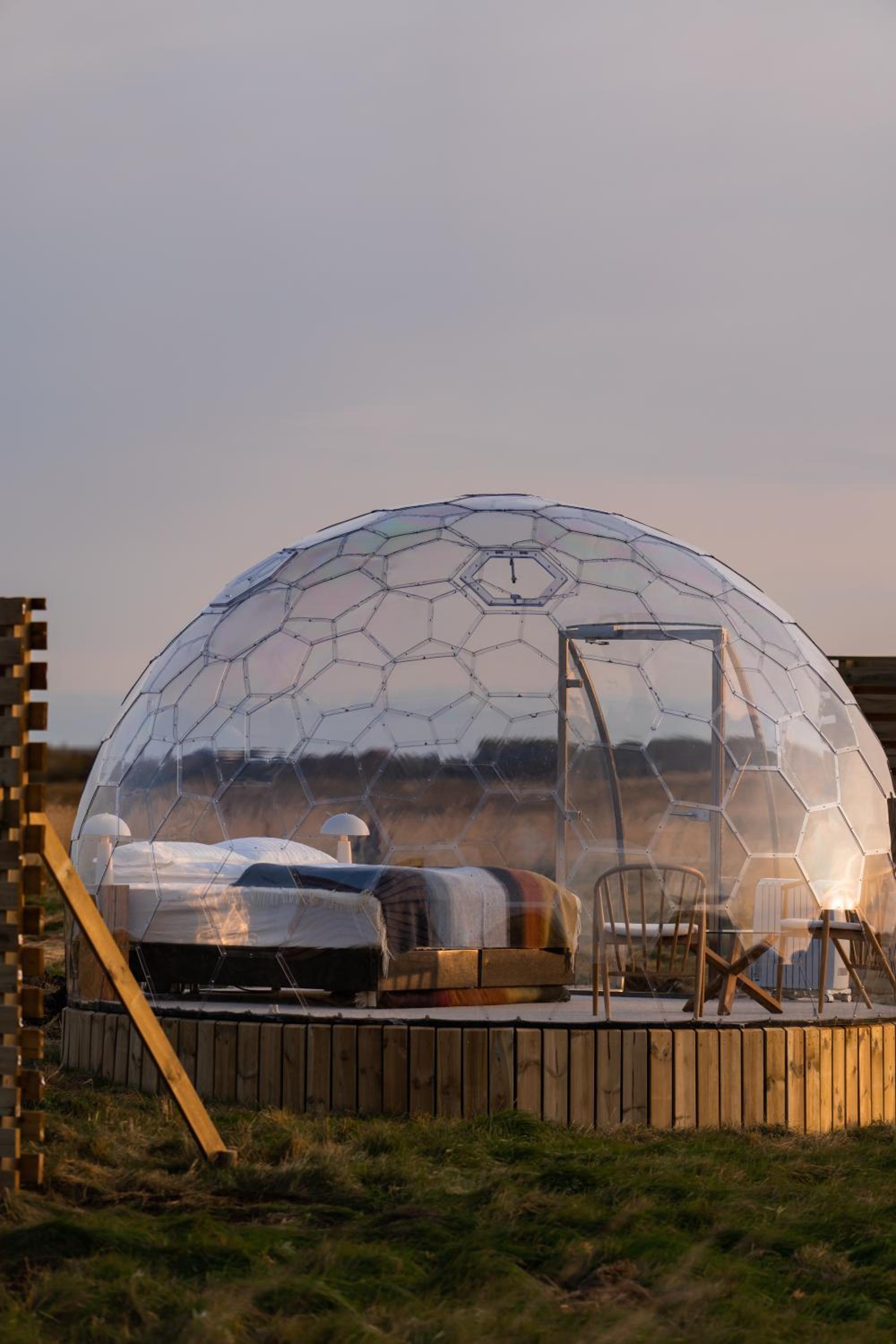  Igloo Dome - Standard - Photo 24