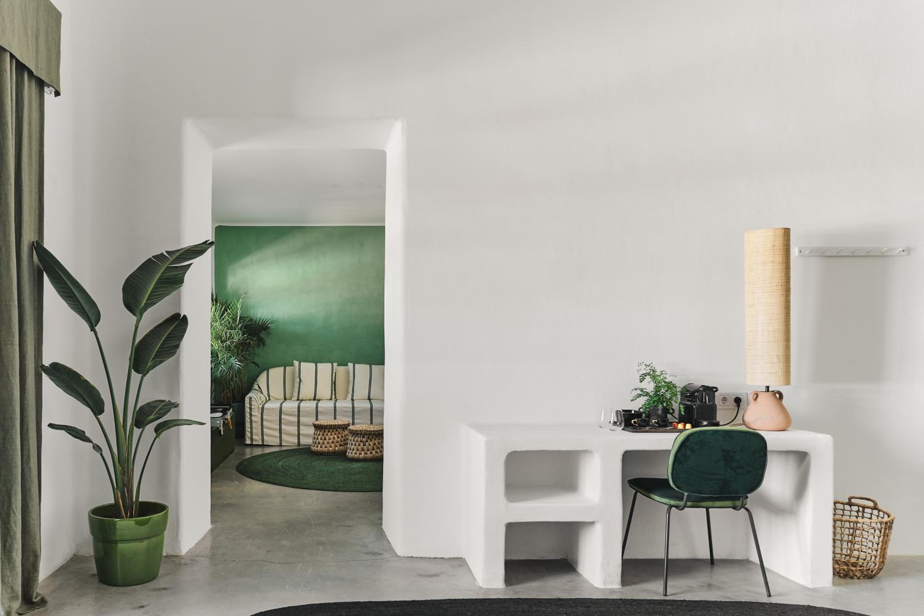 Suite con Terraza photo
