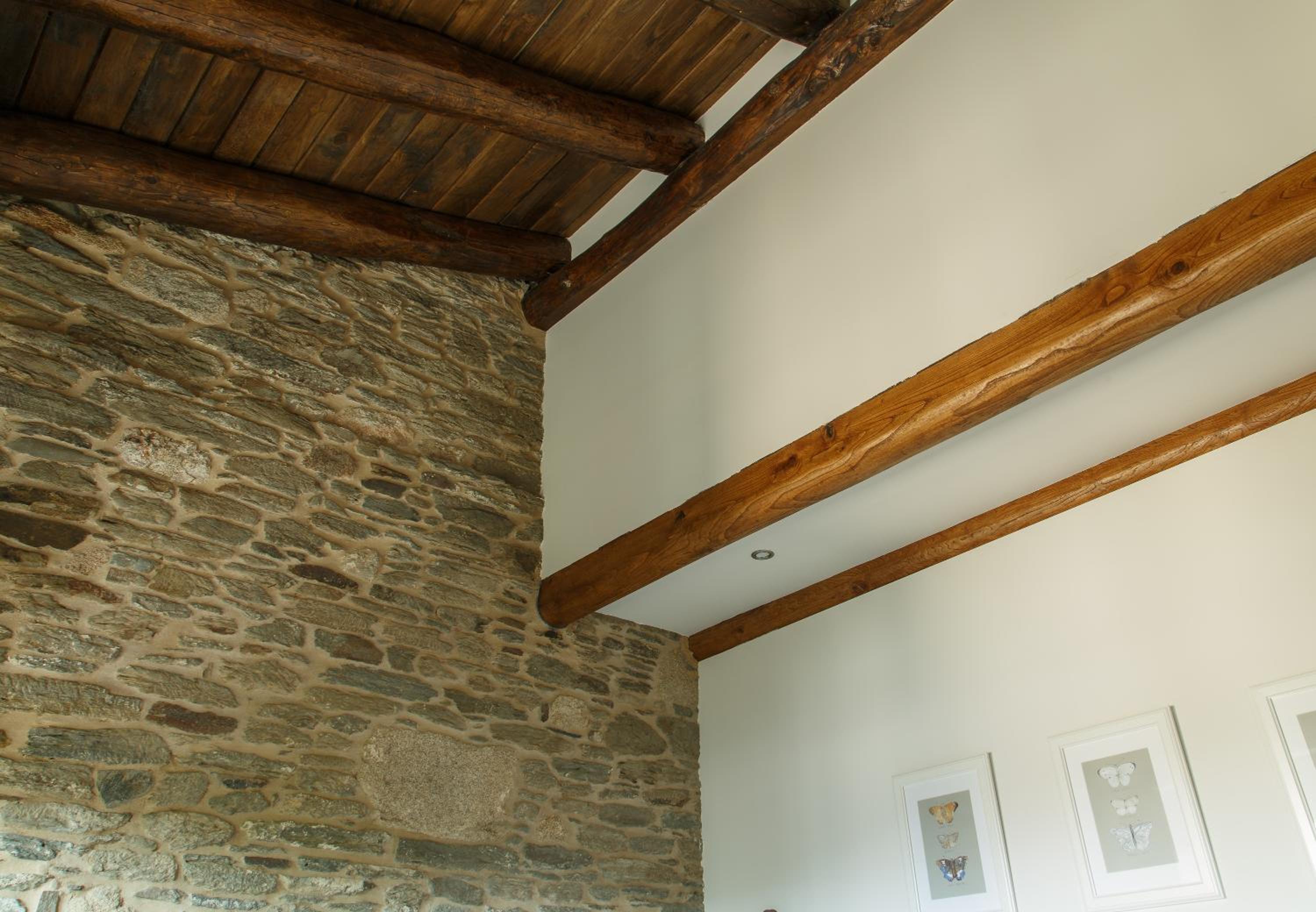 Twin Room with Terrace photo 2