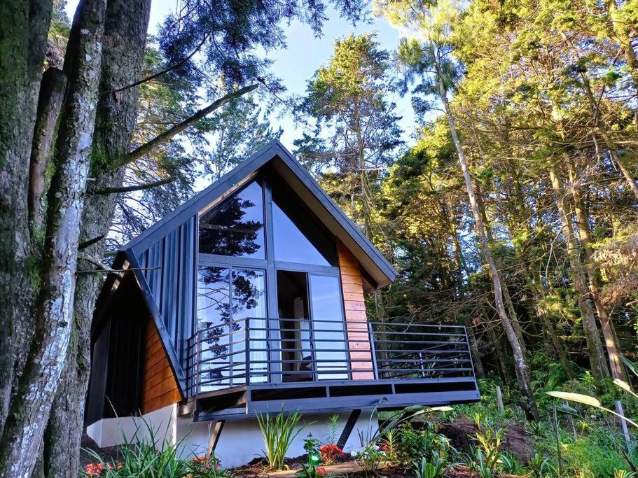 Two-Bedroom Chalet photo 2