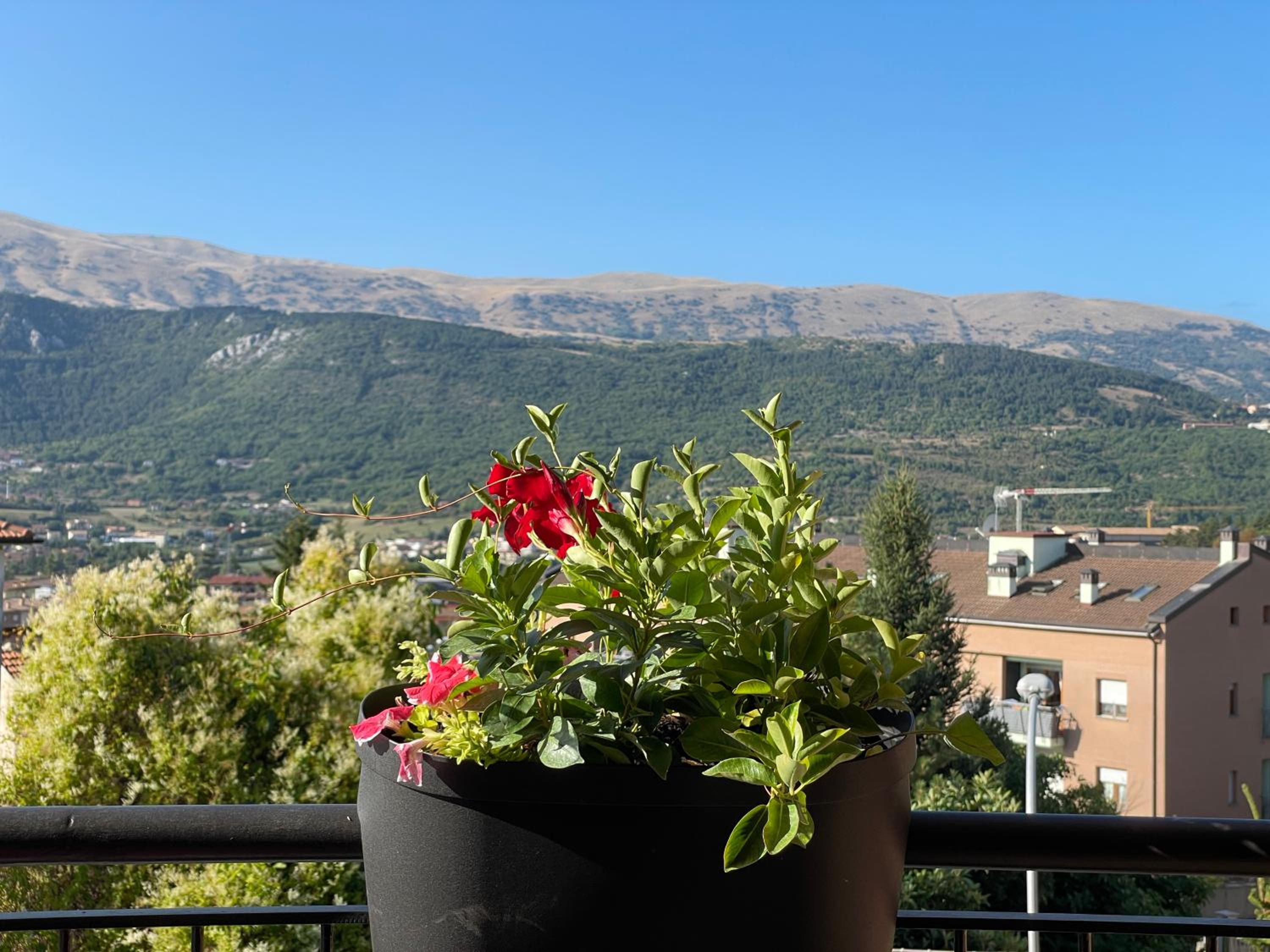 Double Room With Mountain View photo 3