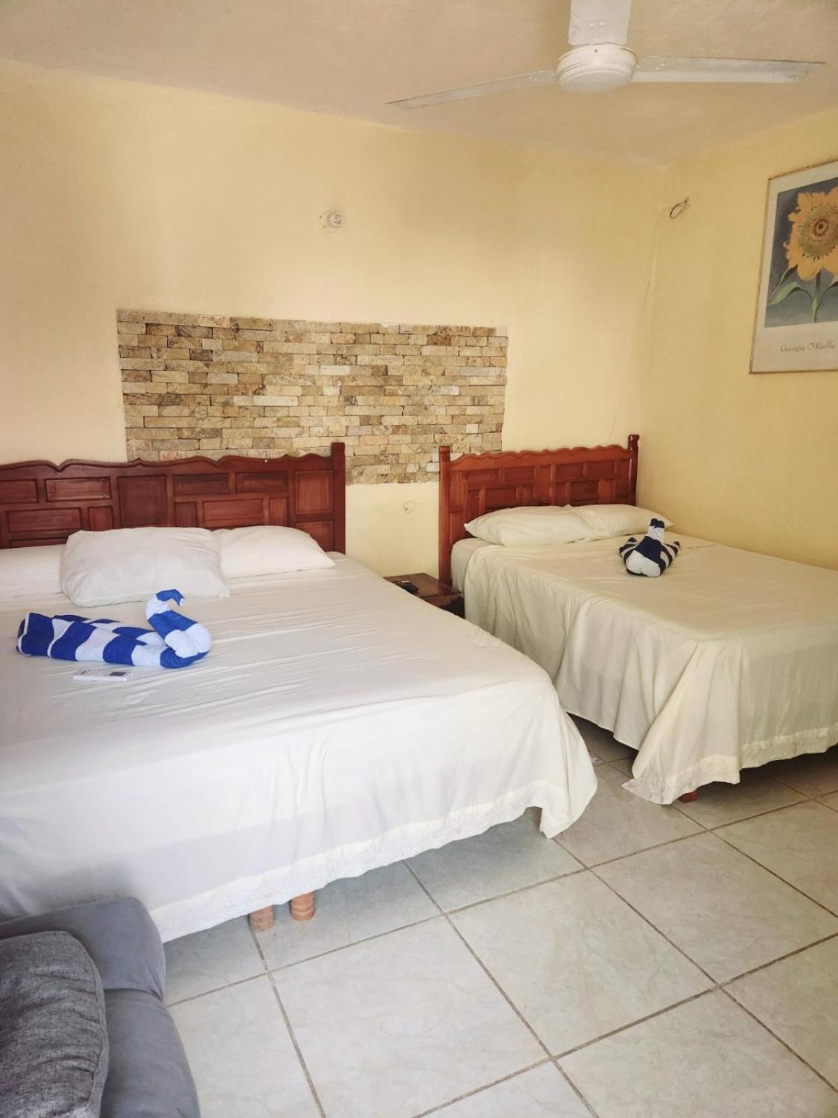 Standard Twin Room photo 1