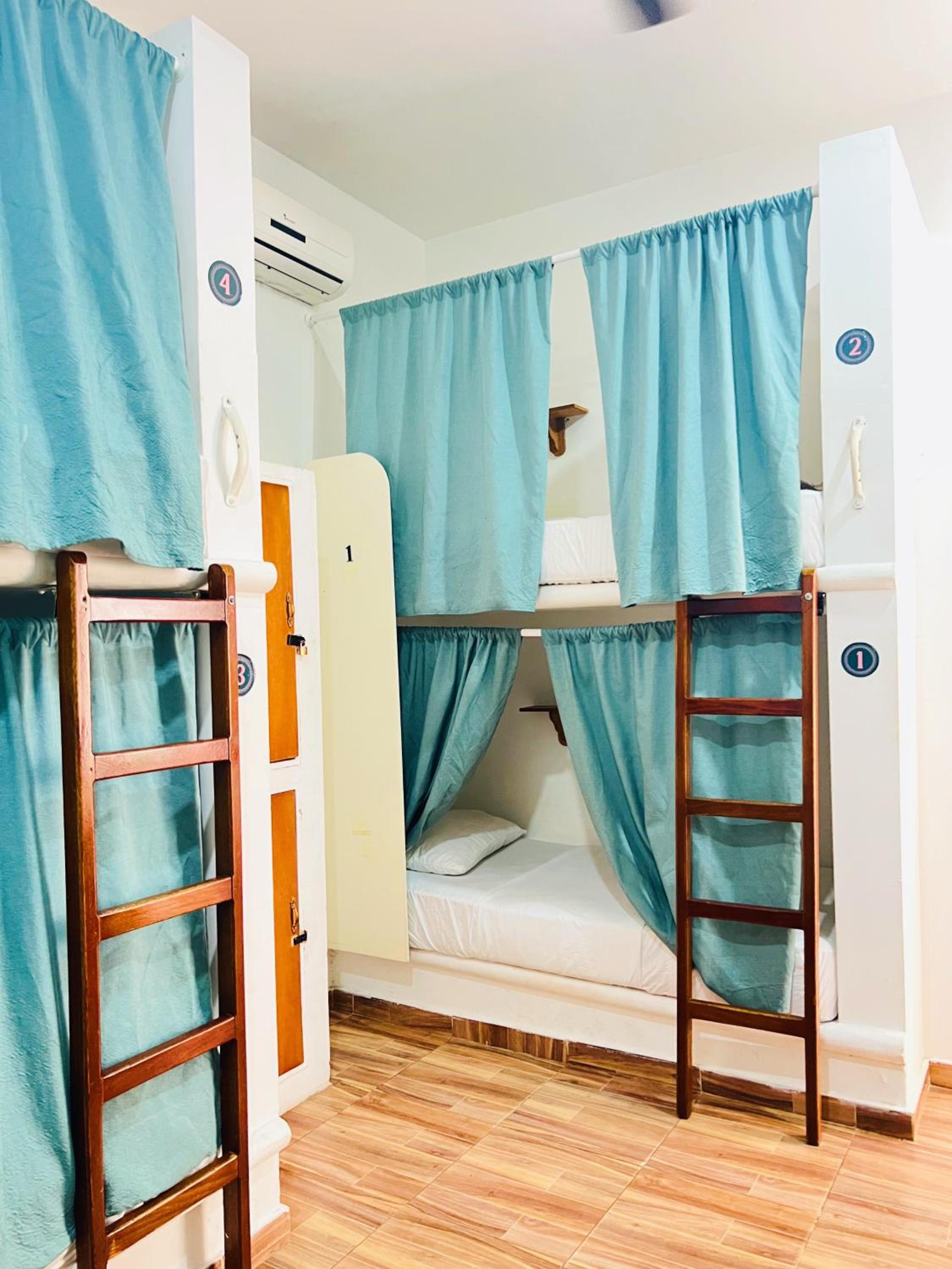 Bed in 8-Bed Mixed Dormitory Room photo 1