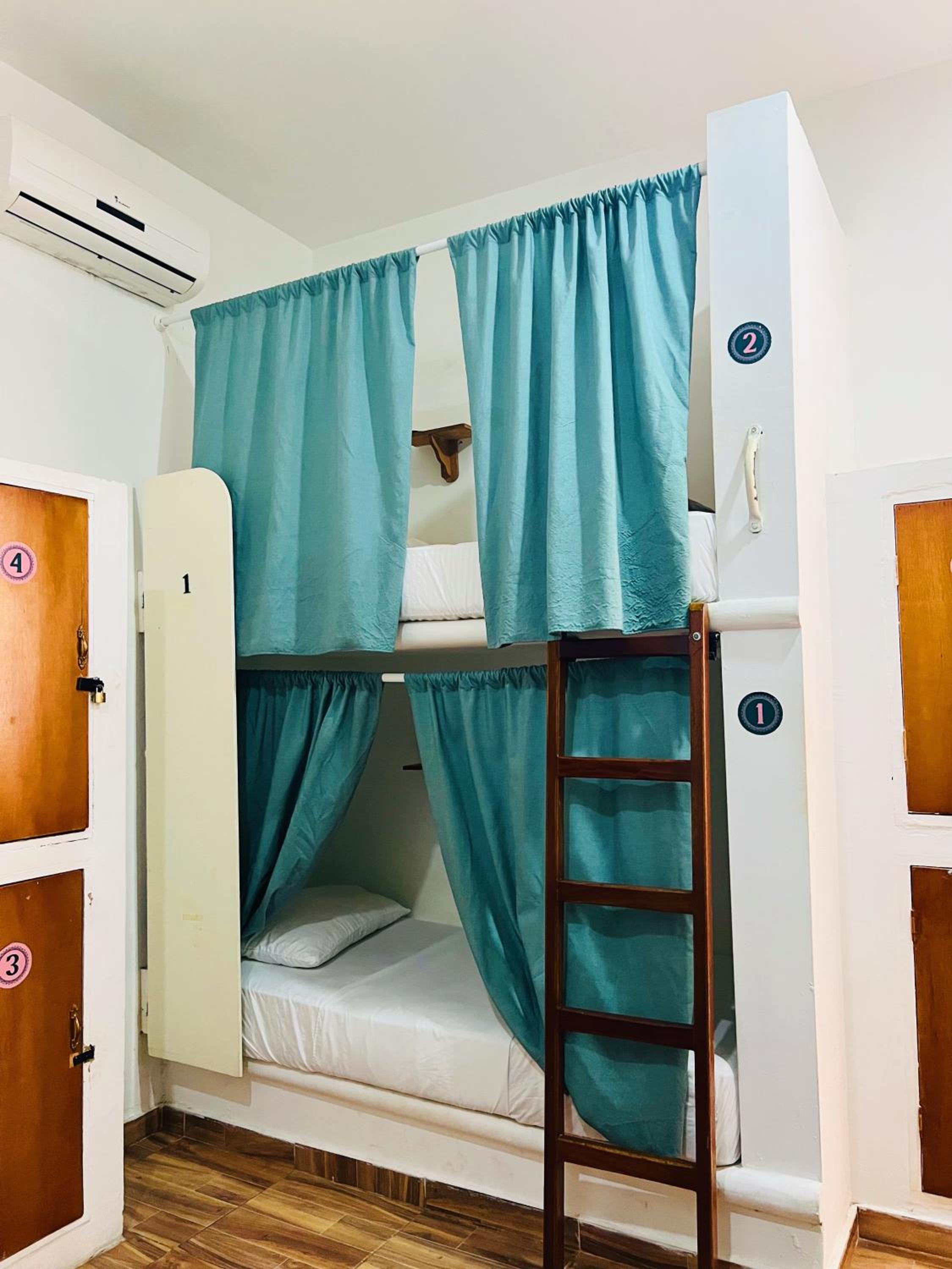 Bed in 4-Bed Mixed Dormitory Room photo 3