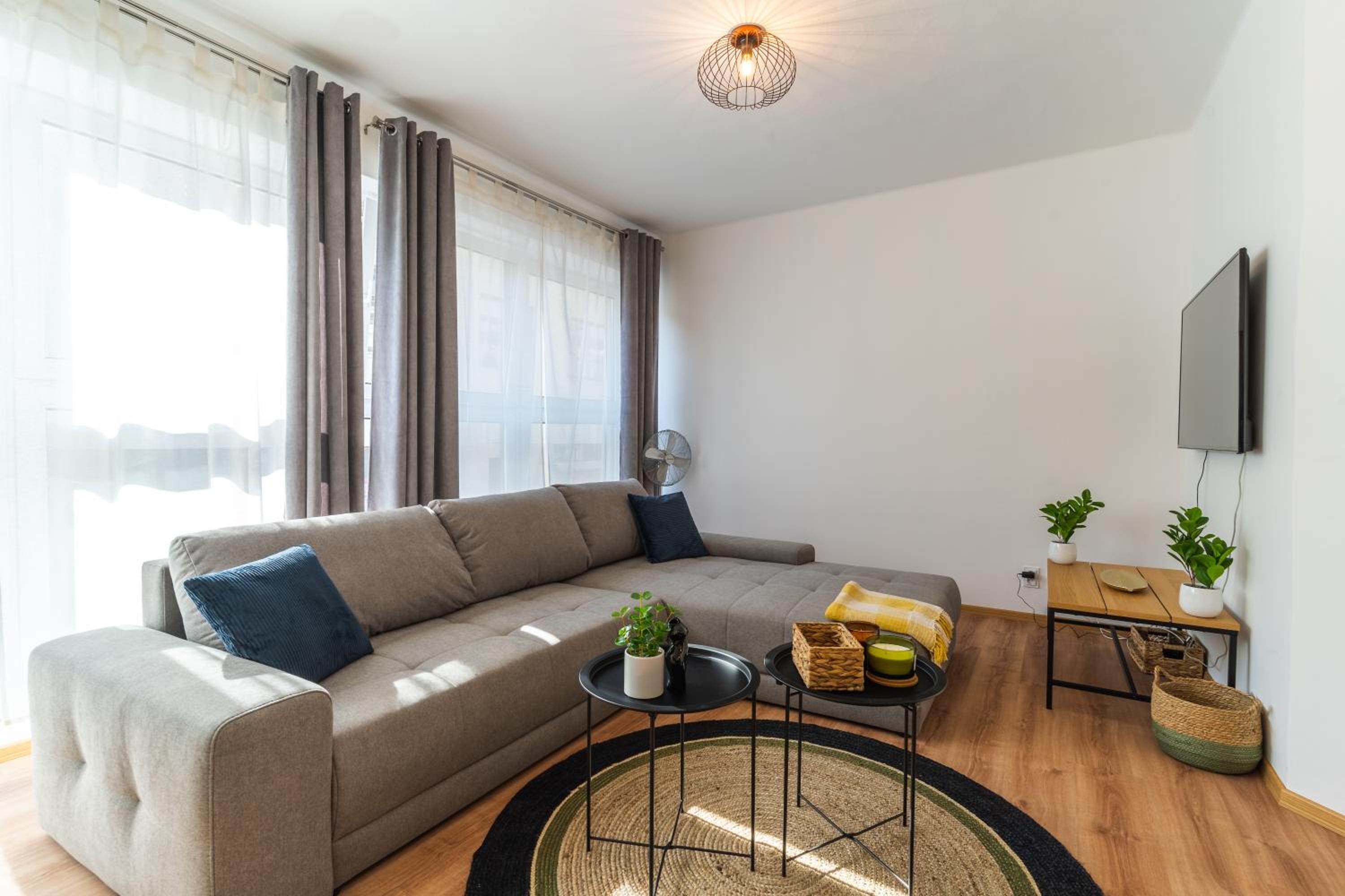 One-Bedroom Apartment photo 3