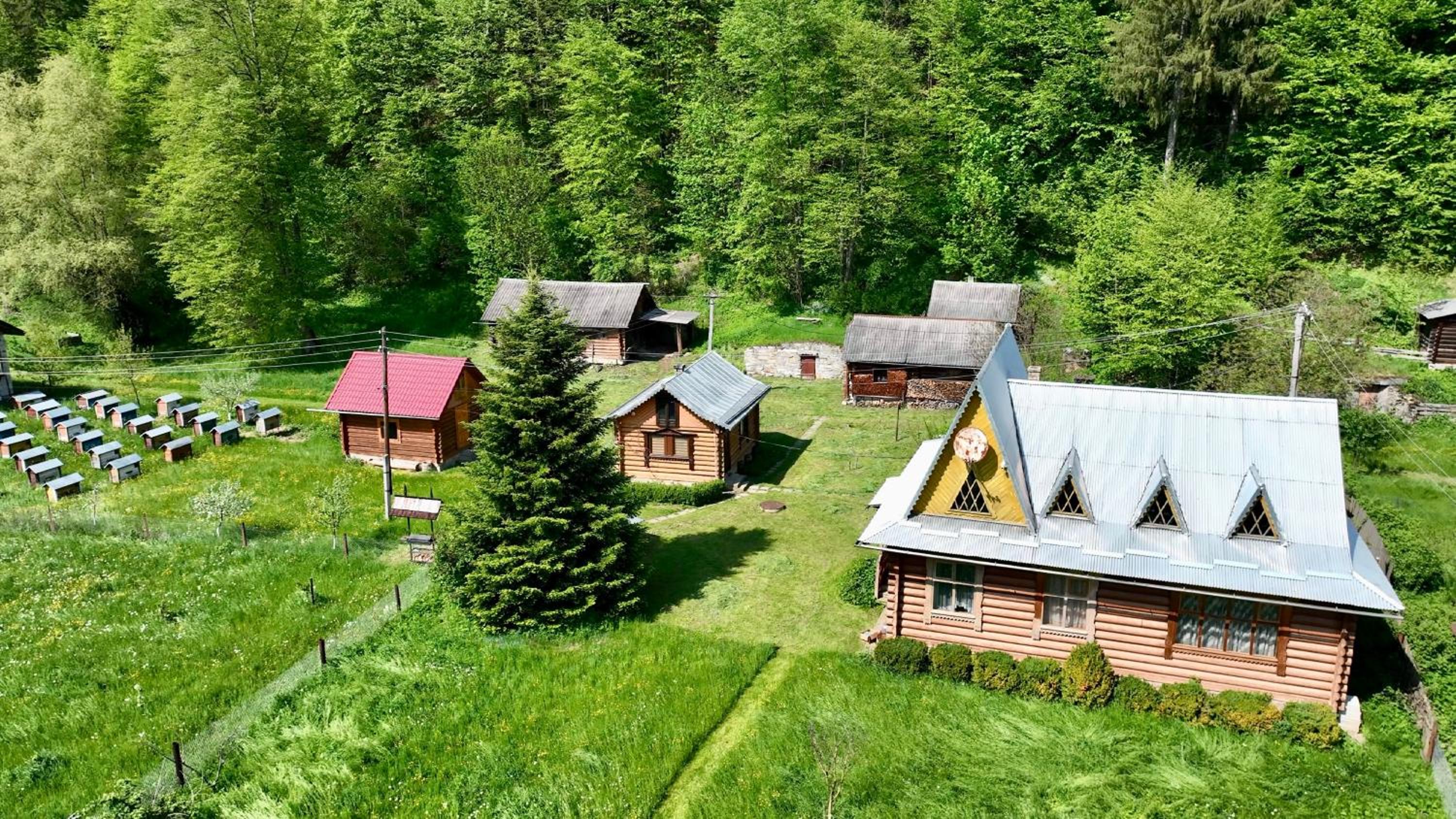 One-Bedroom Chalet photo 3