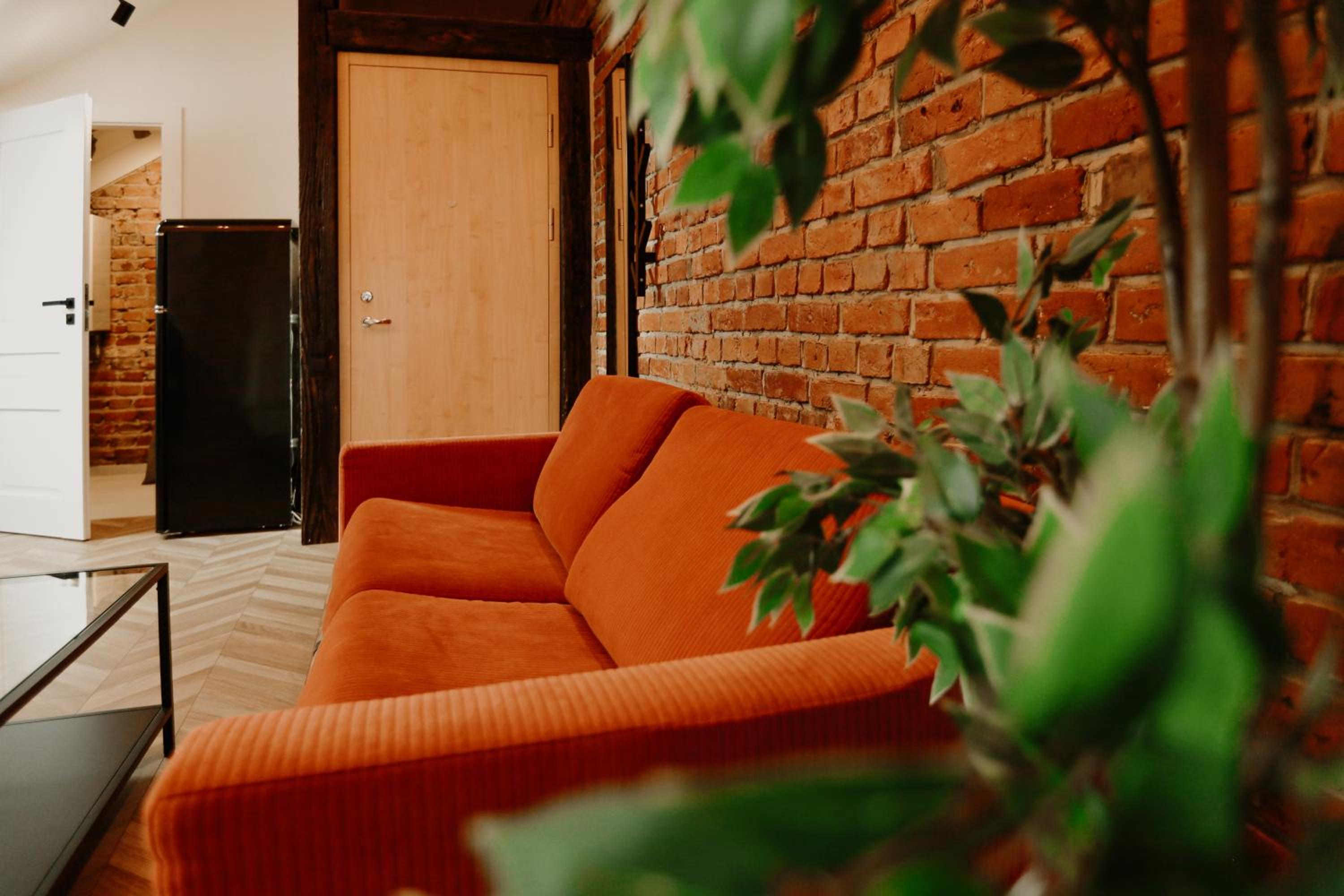 Apartment - Photo 11