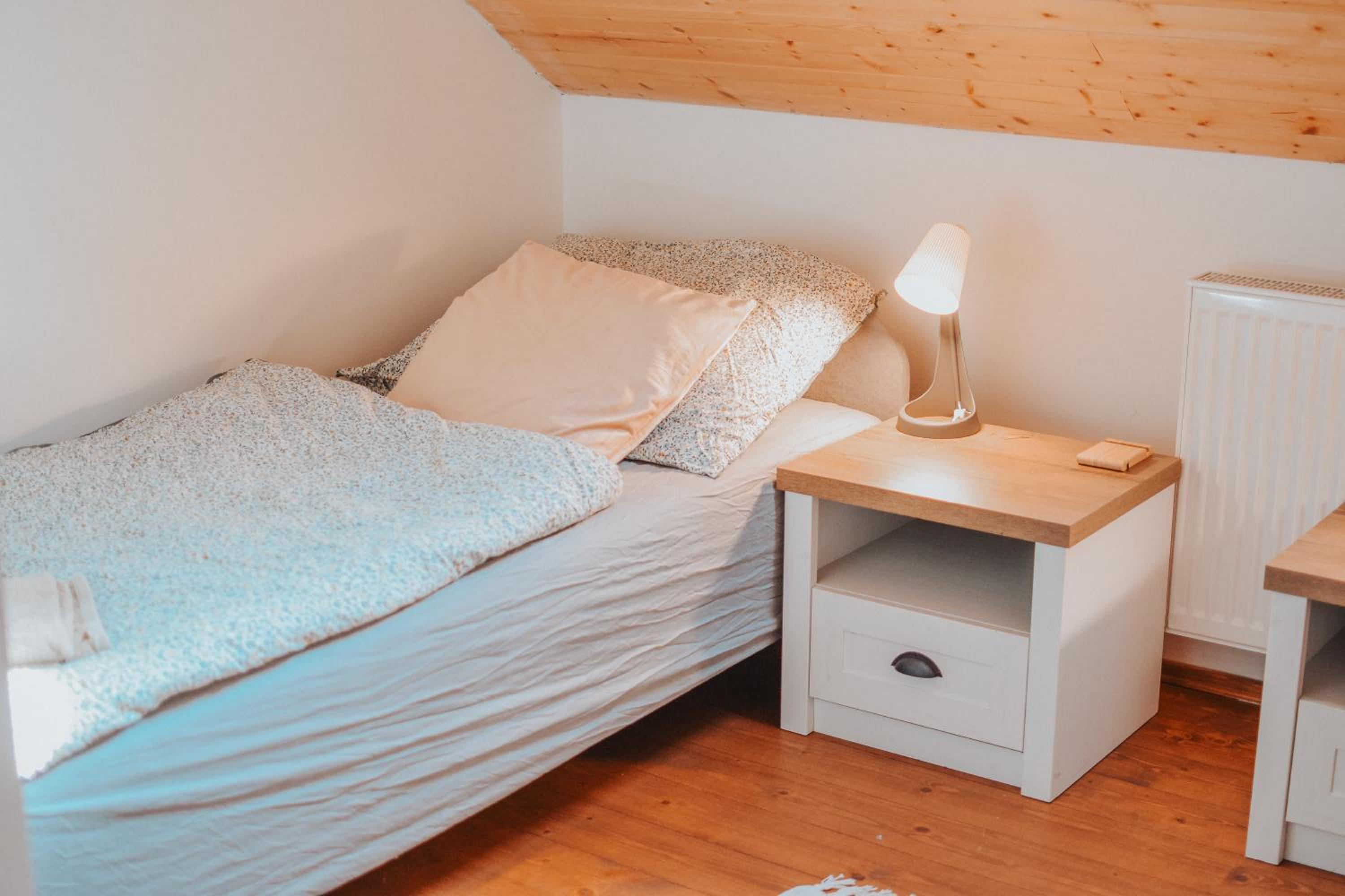 Twin Room photo 2